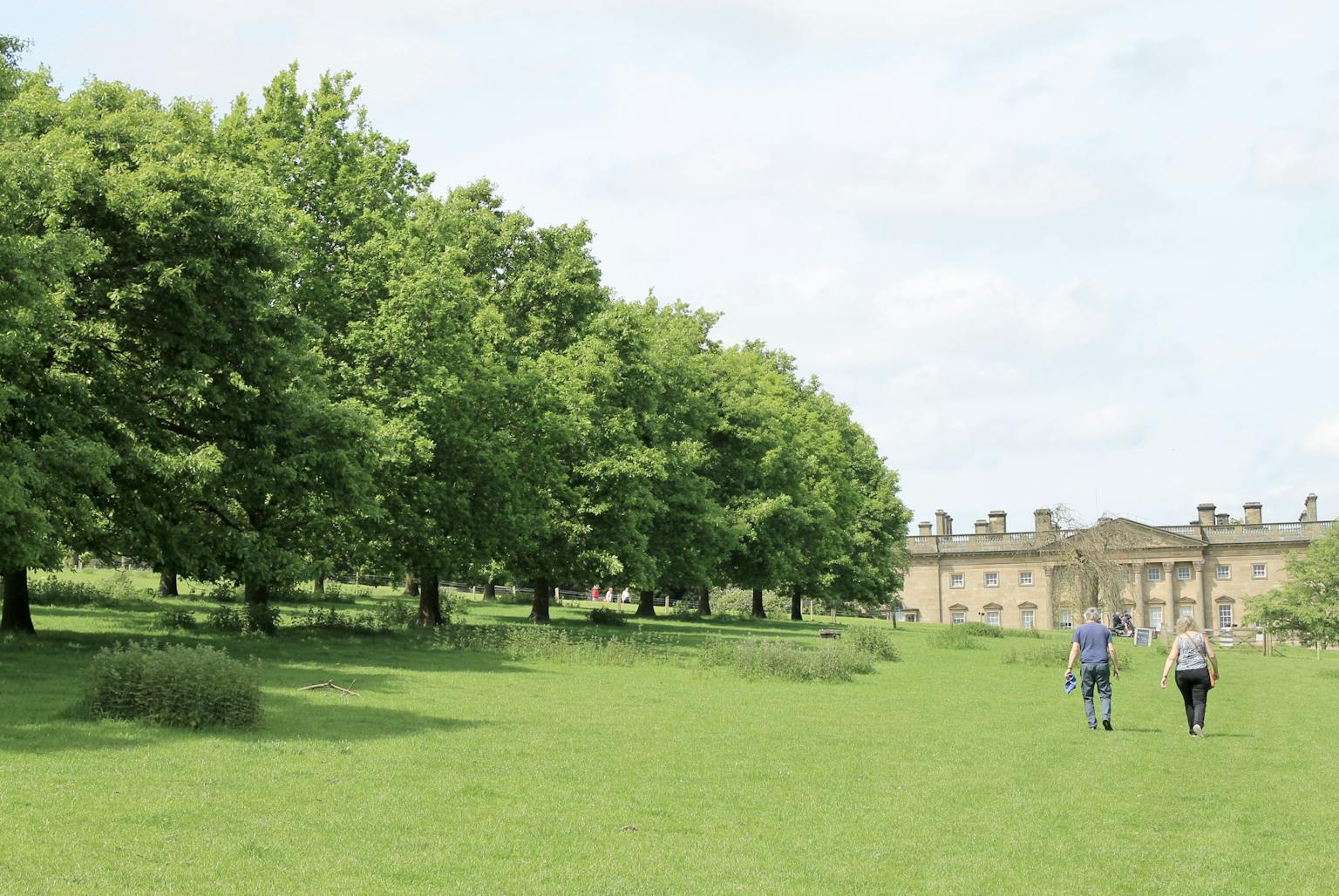 Two people walking across a field lined with trees towards a stately home