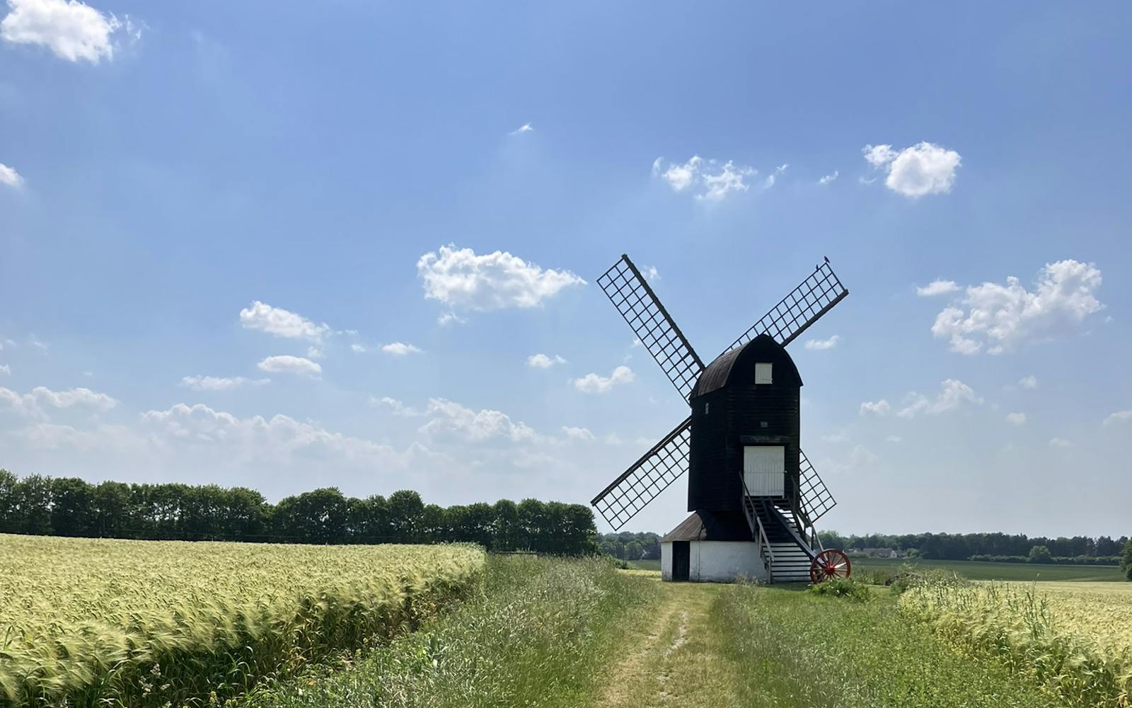 A windmill in a field with crops and blue skies