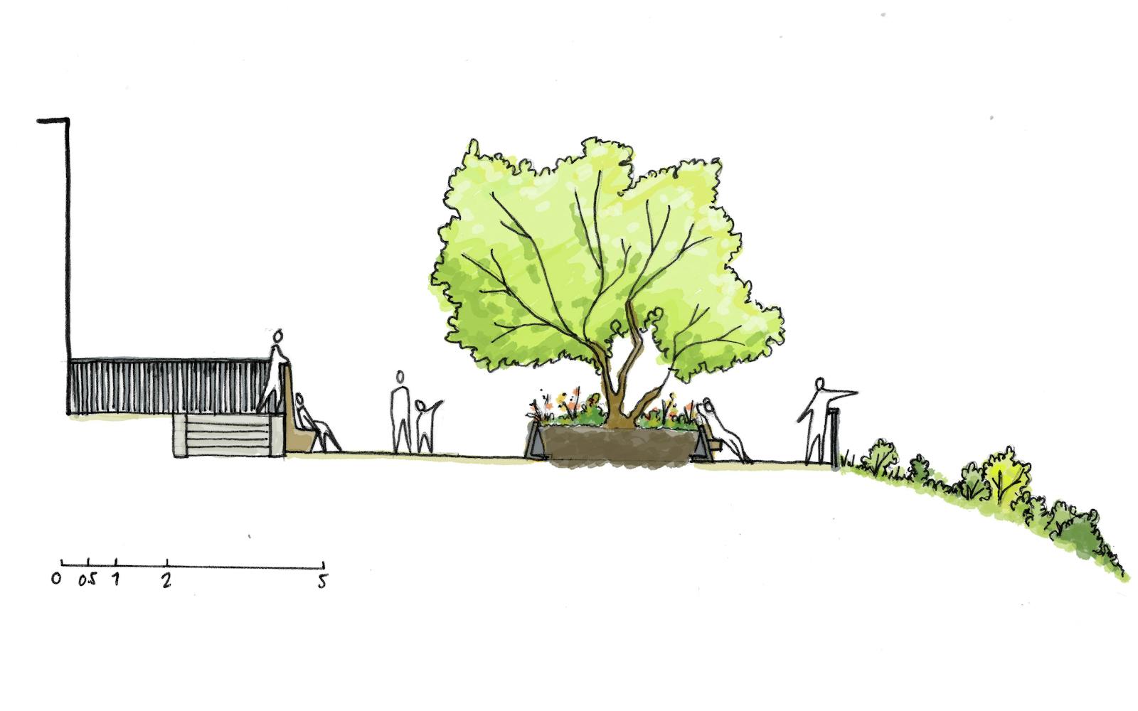 An artist's impression of a cross-section of a park with trees