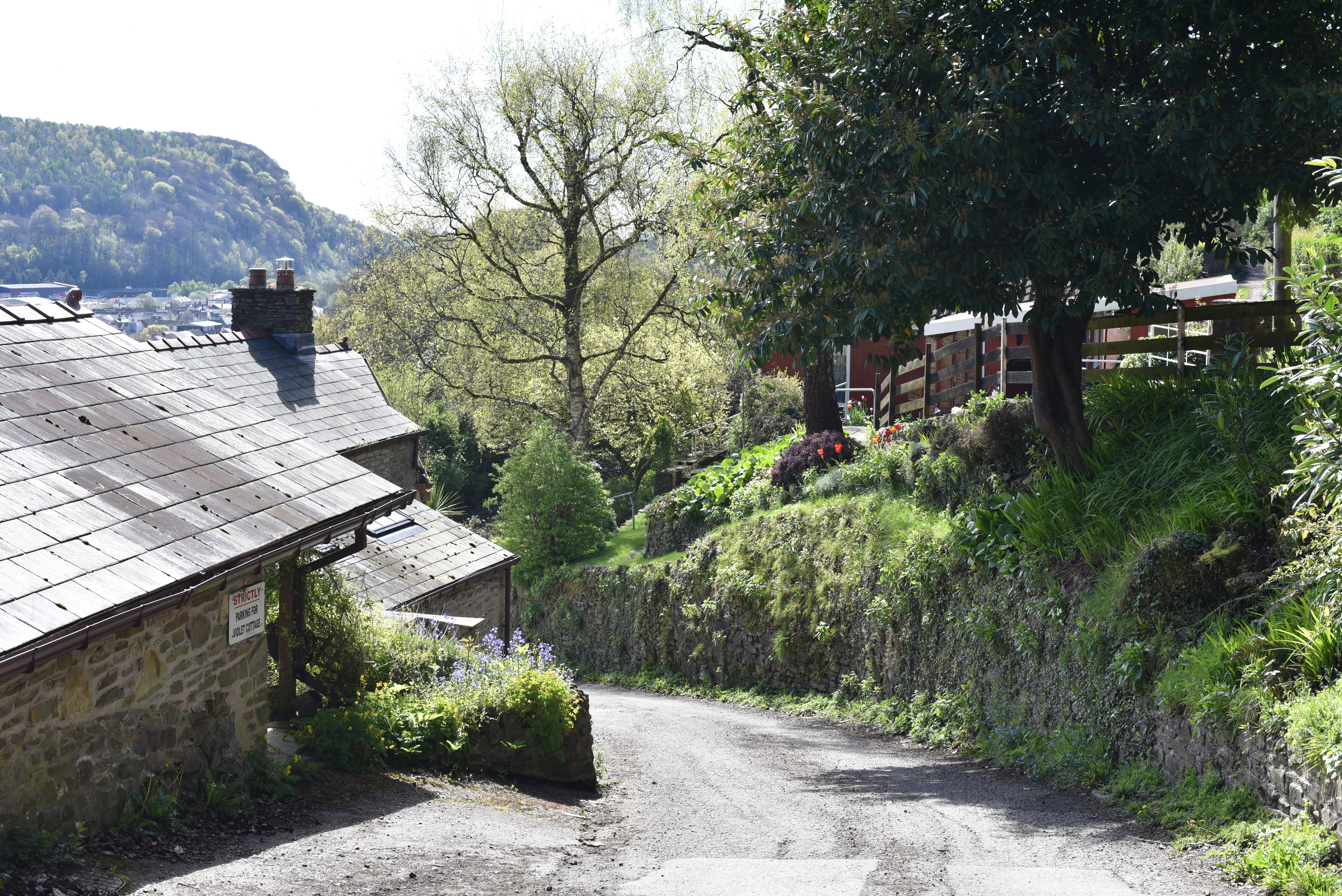 Narrow road in a village.