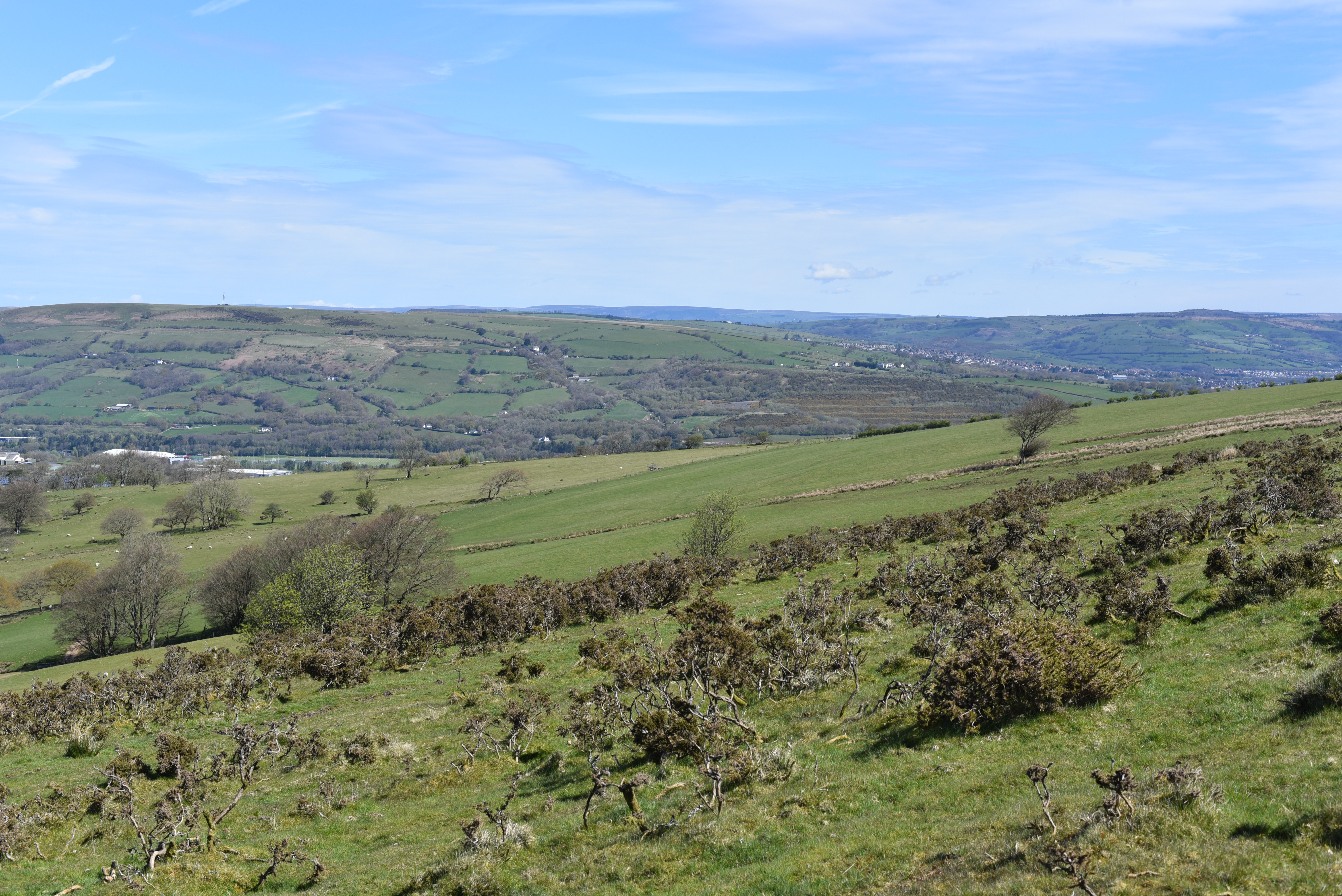 A landscape of rolling green hills stretches into the distance, with a clear blue sky above.