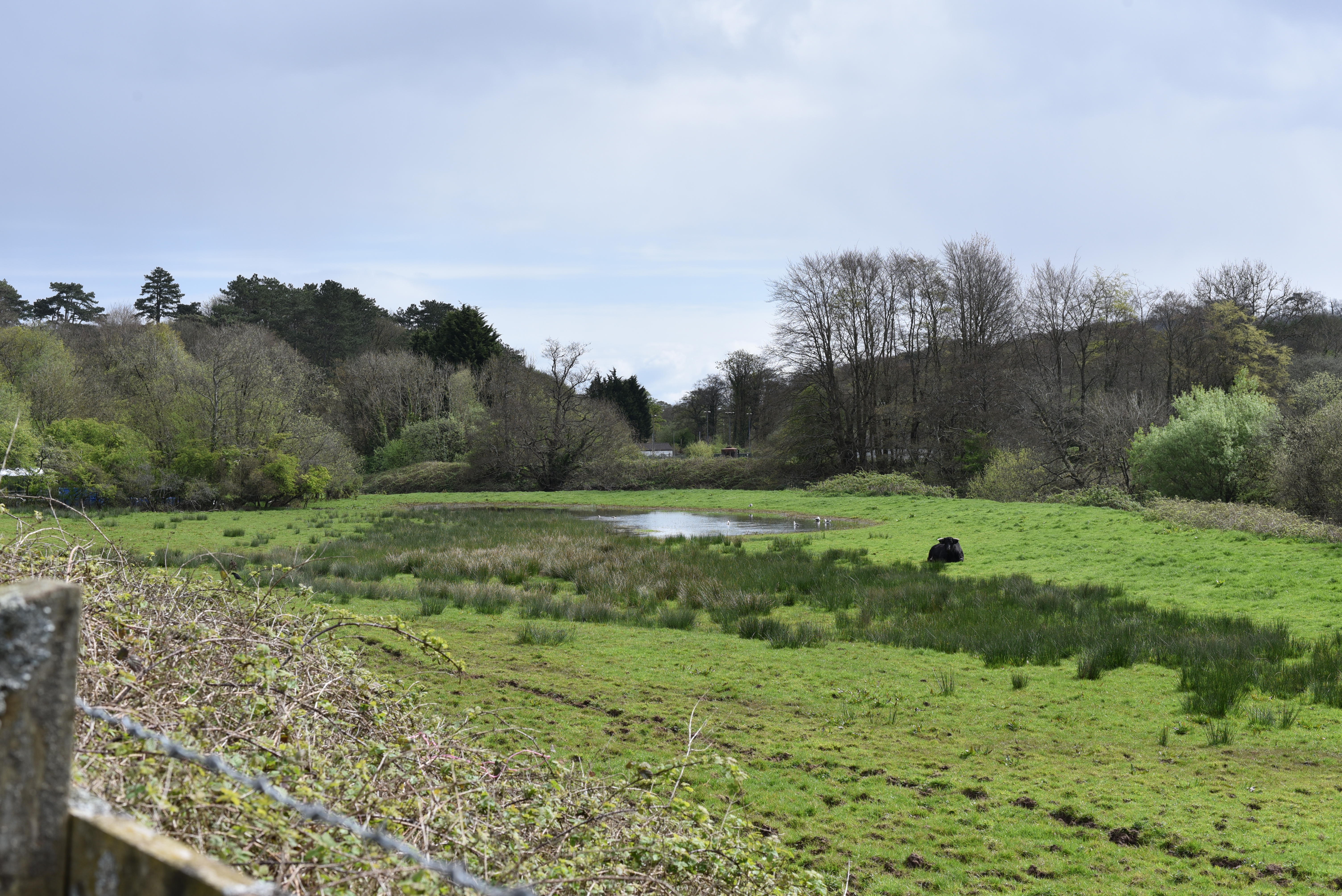A gently sloping grassy hilltop with a path leading to the summit, under a blue sky with scattered clouds.