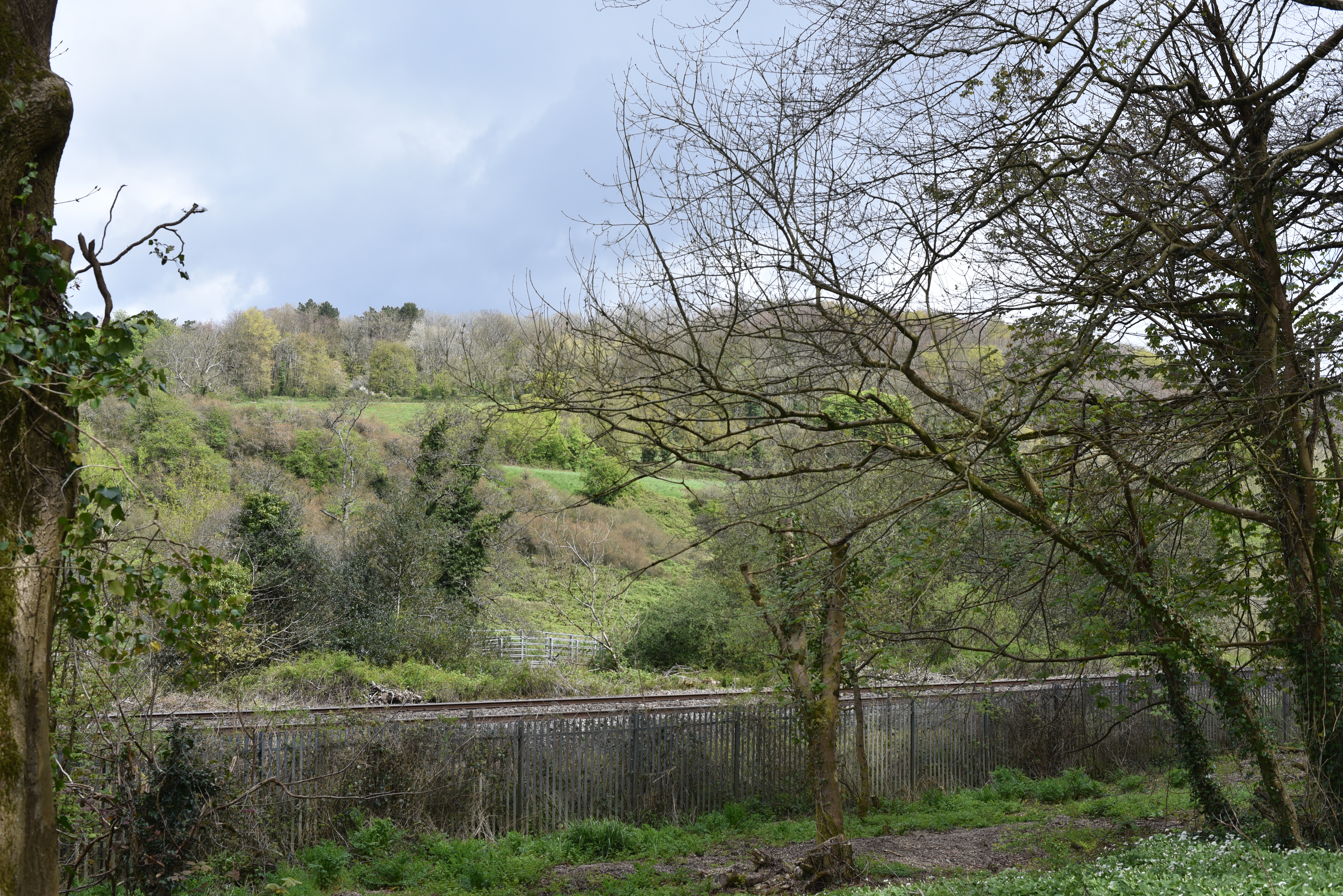A railway line runs through a green valley with trees on either side, under an overcast sky.