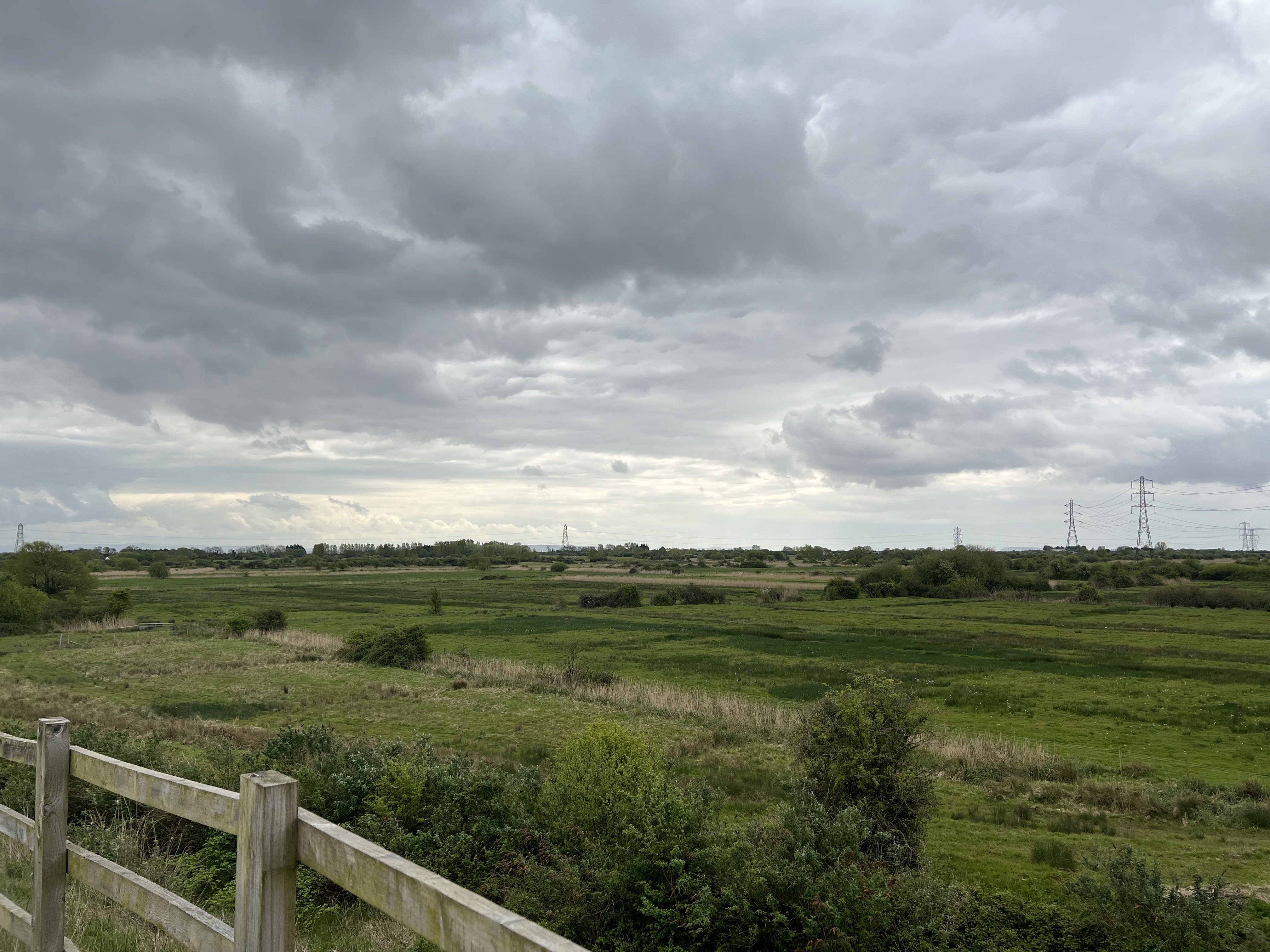 A wide expanse of green wetlands stretches towards a gray coastline under a cloudy sky.