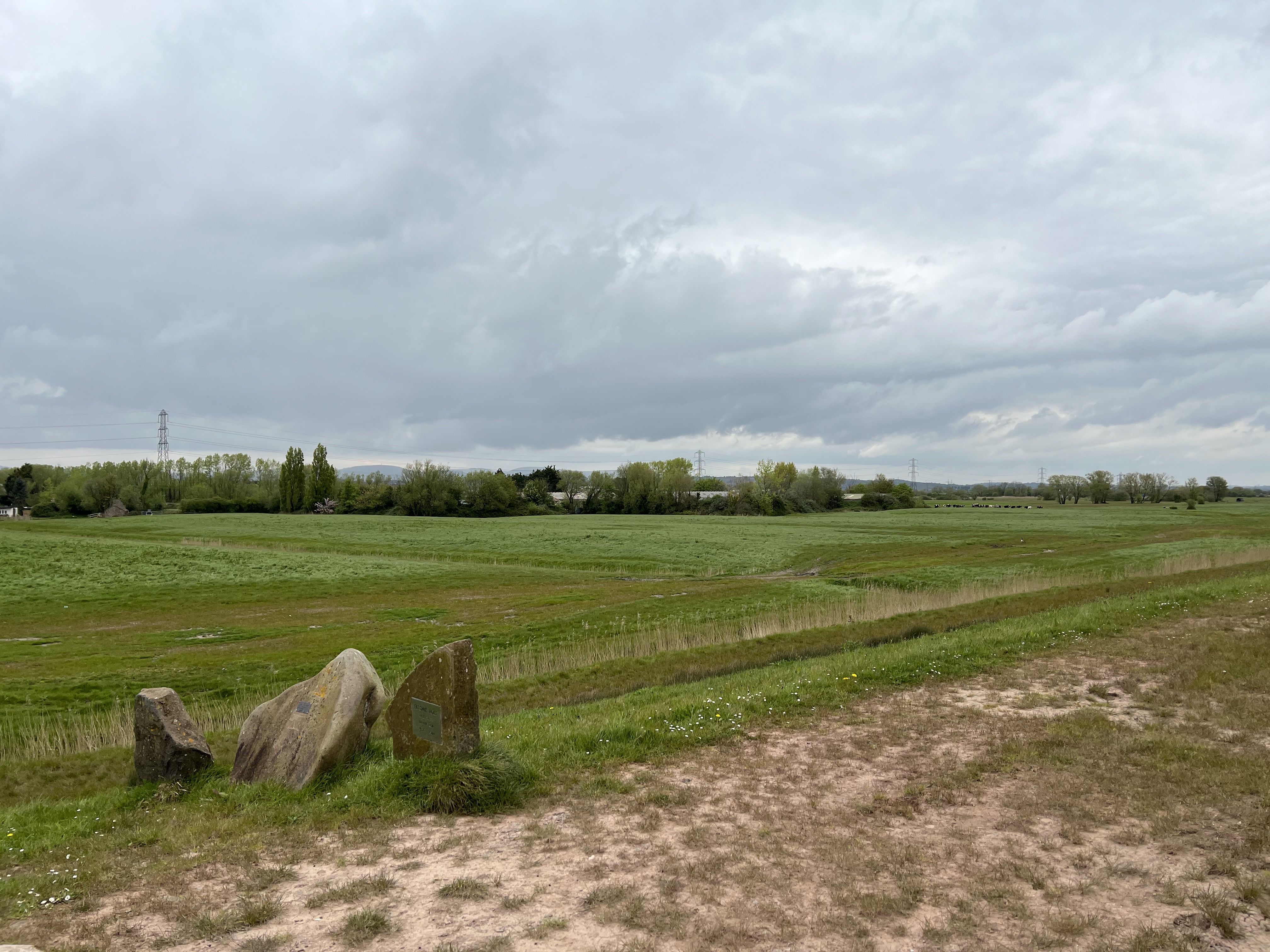 A wide view of green fields with a line of trees in the distance, under a cloudy sky.