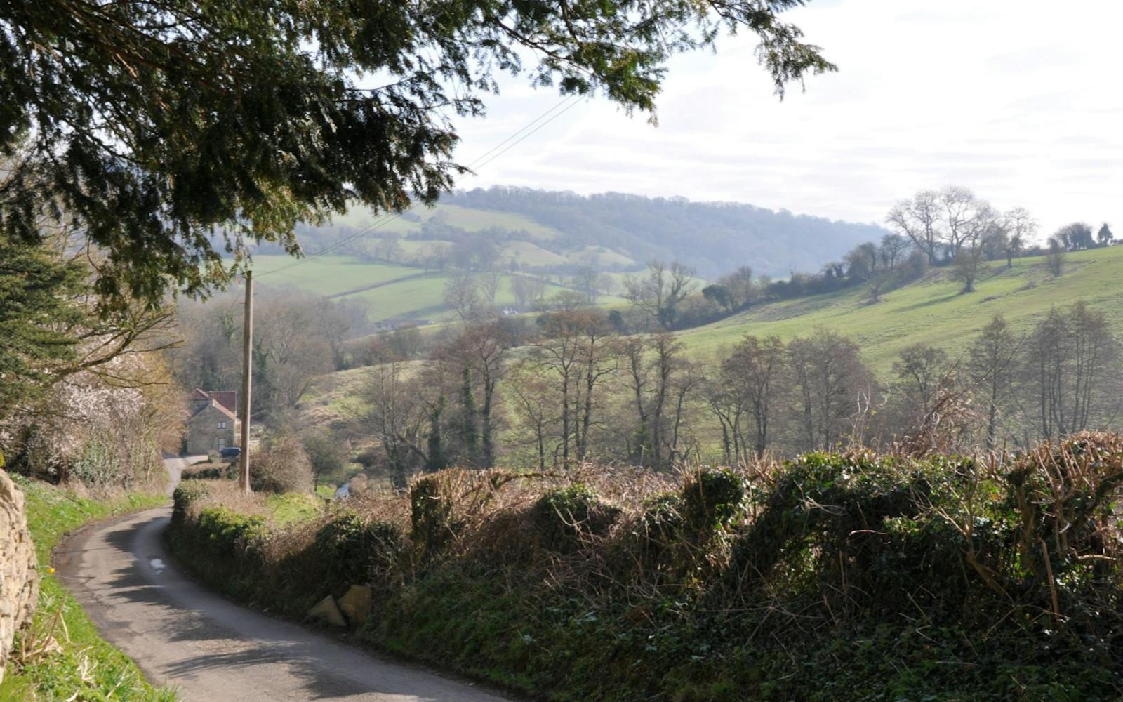 A country lane winding through a rural landscape.