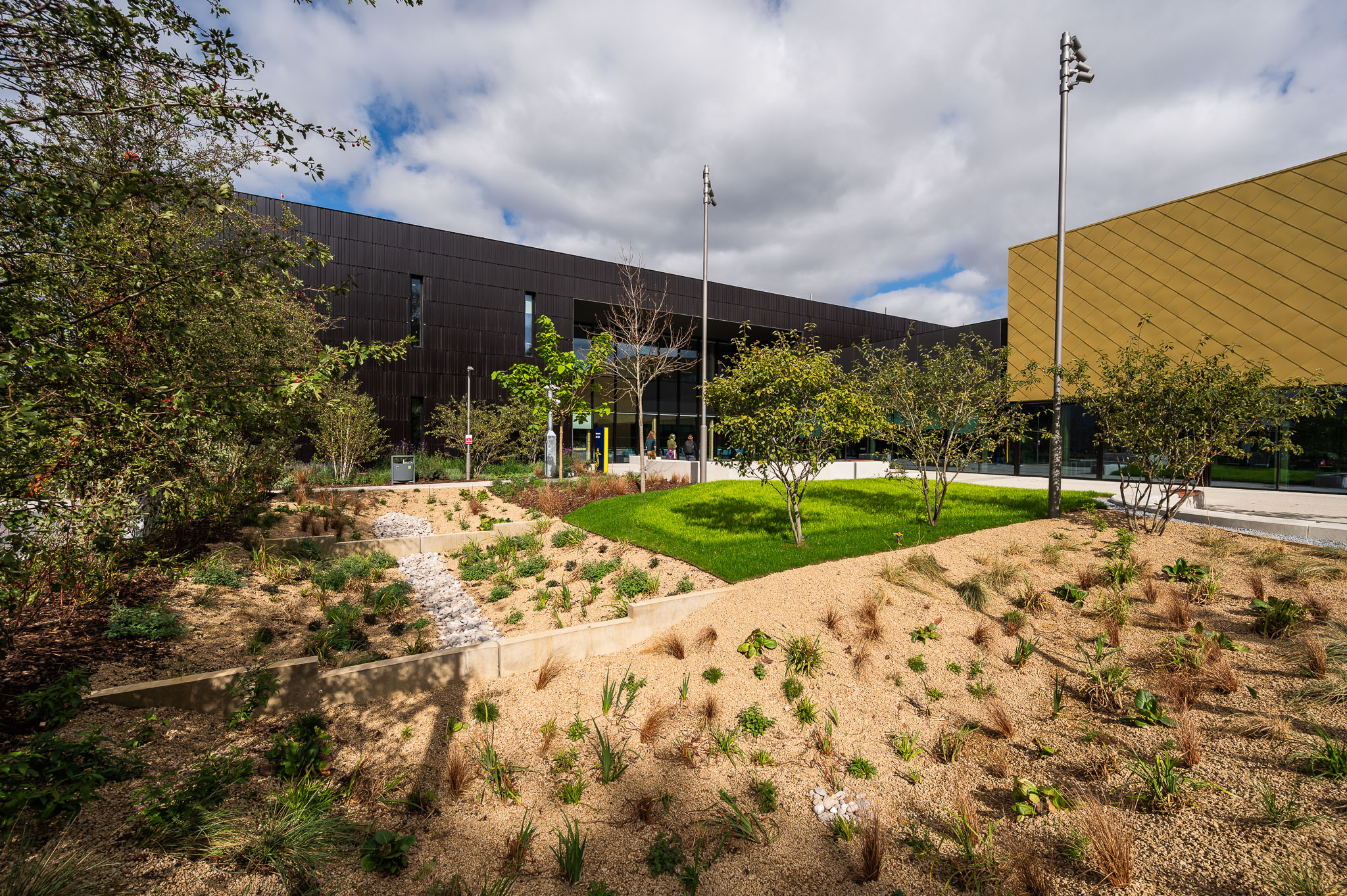 Modern building with brown and gold facades surrounded by sustainable landscaping featuring drought-resistant plants, gravel areas, and a small grass section.
