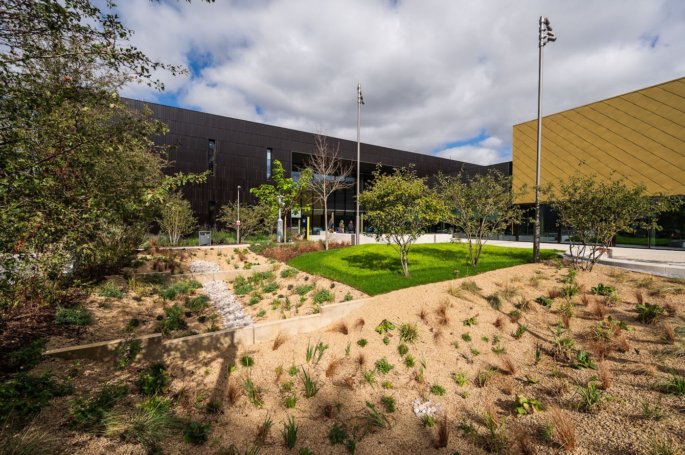 Modern building with brown and gold facades surrounded by sustainable landscaping featuring drought-resistant plants, gravel areas, and a small grass section.