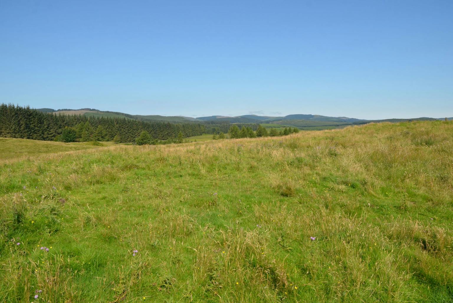 LUC supports developers in submitting bids to Forestry and Land Scotland