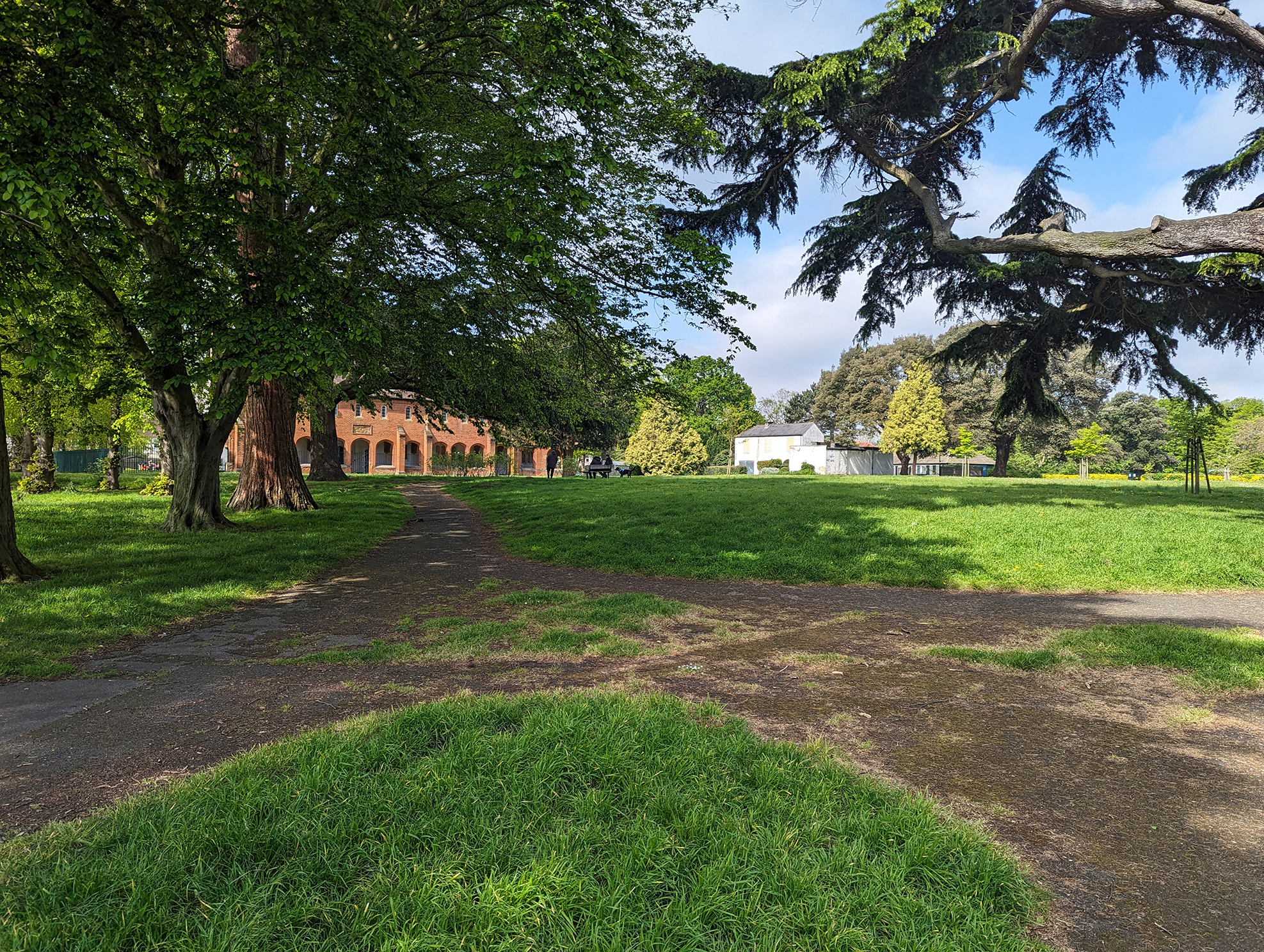 a house in a green park surrounded by trees