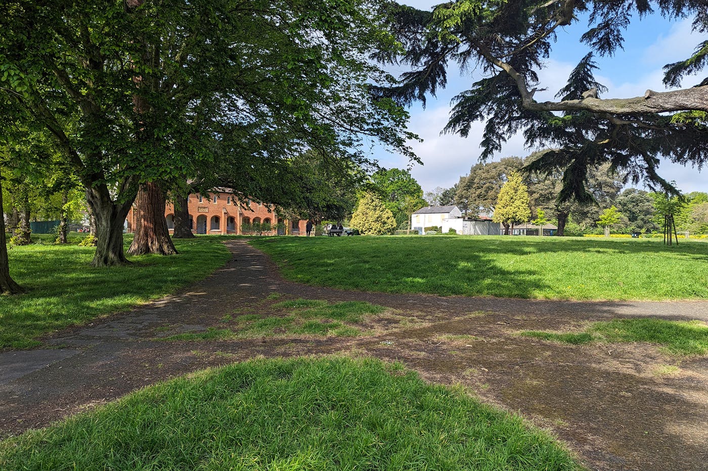 a house in a green park surrounded by trees