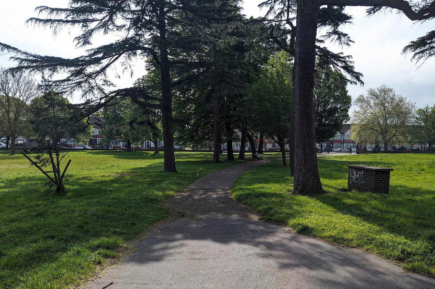 A path in a green park