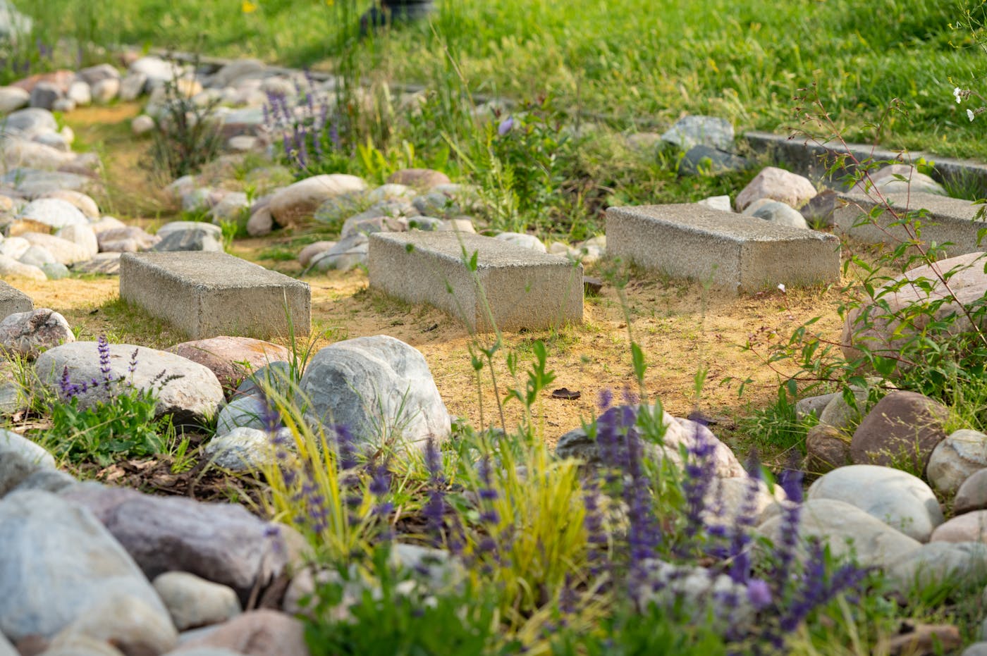 a group of stones in a garden