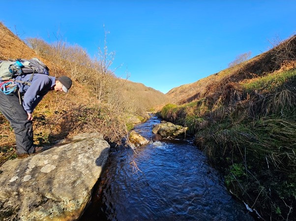 Person taking a closer look at bryophytes and lichens on rock