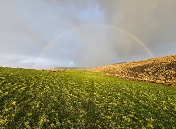 Rainbow across farmland