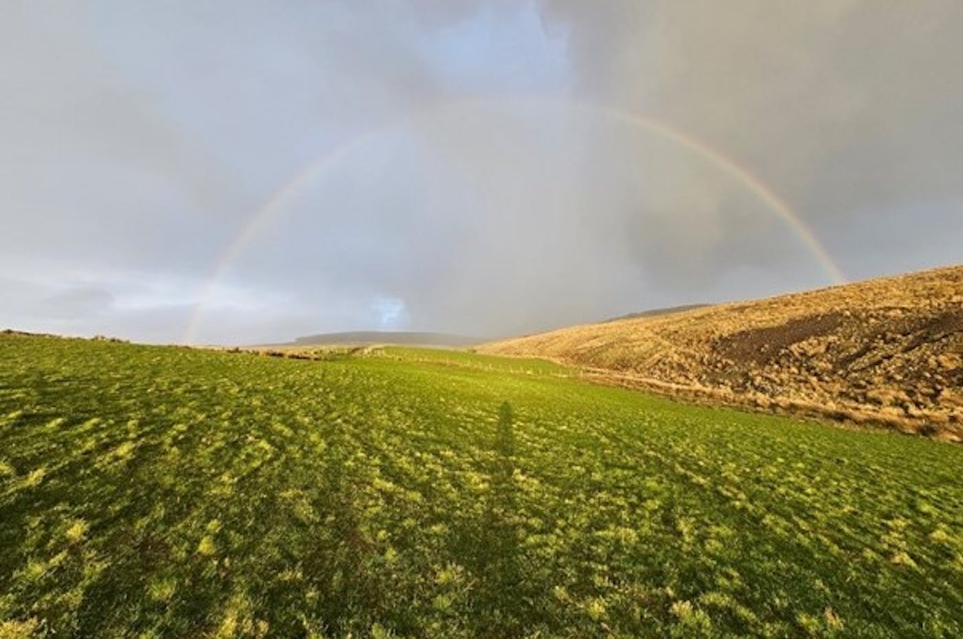 Rainbow across farmland