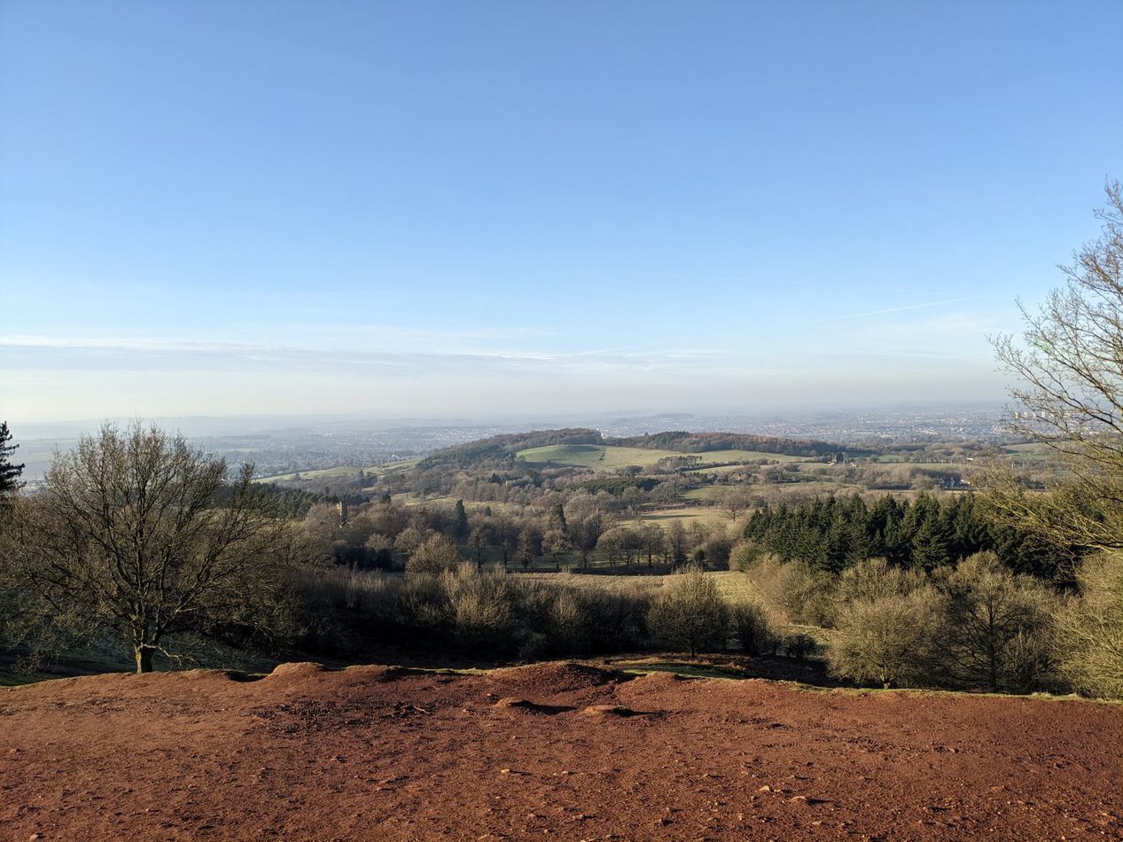 a landscape with trees and a valley in the background