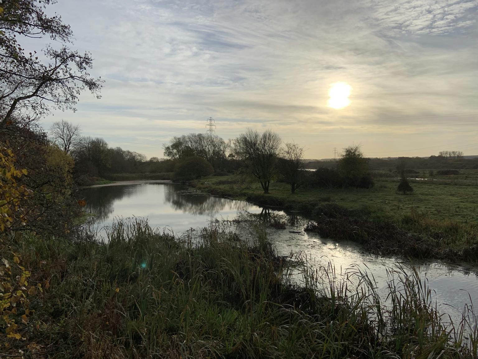 a river with trees and grass