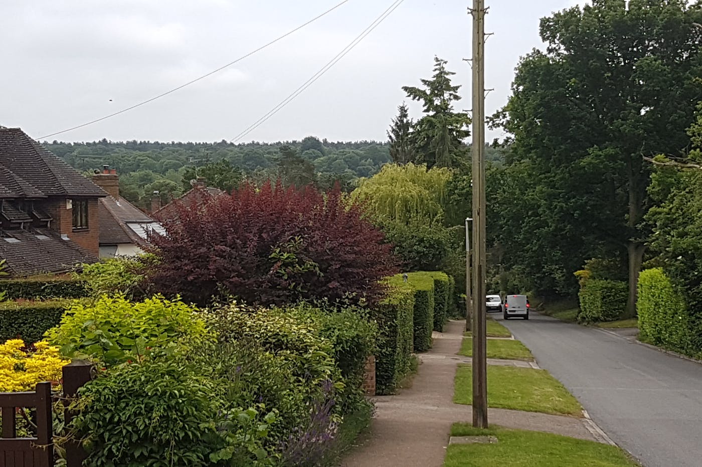 a street with bushes and trees