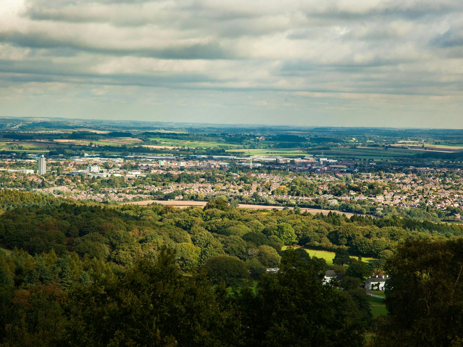 a landscape with trees and buildings