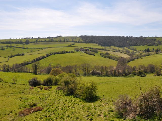 a green field with trees and a hill