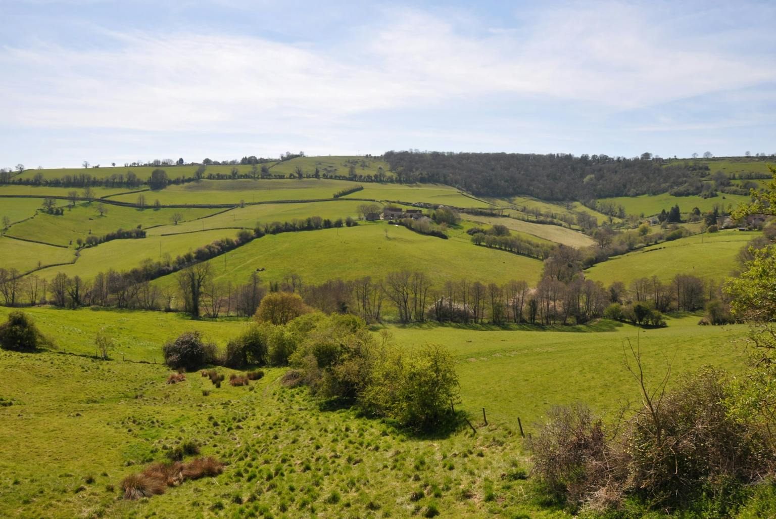 a green field with trees and a hill