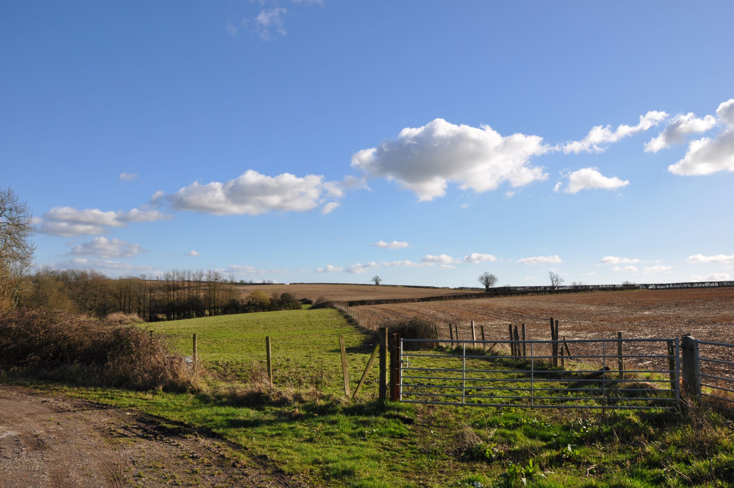 a field with a fence and grass