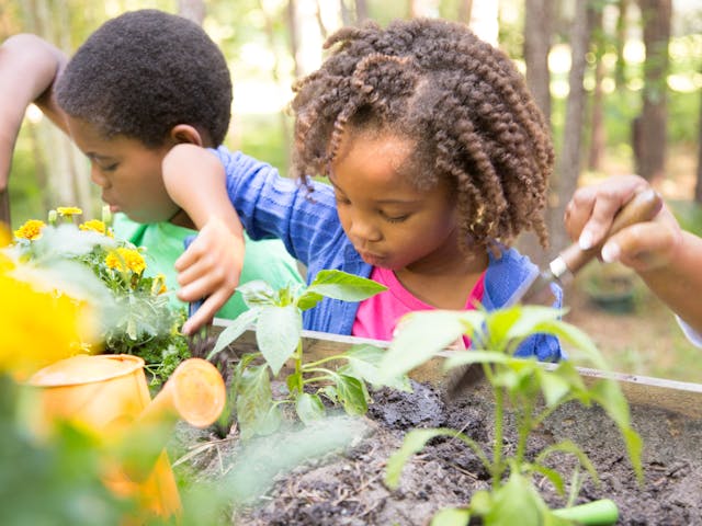 children gardening in a flower bed