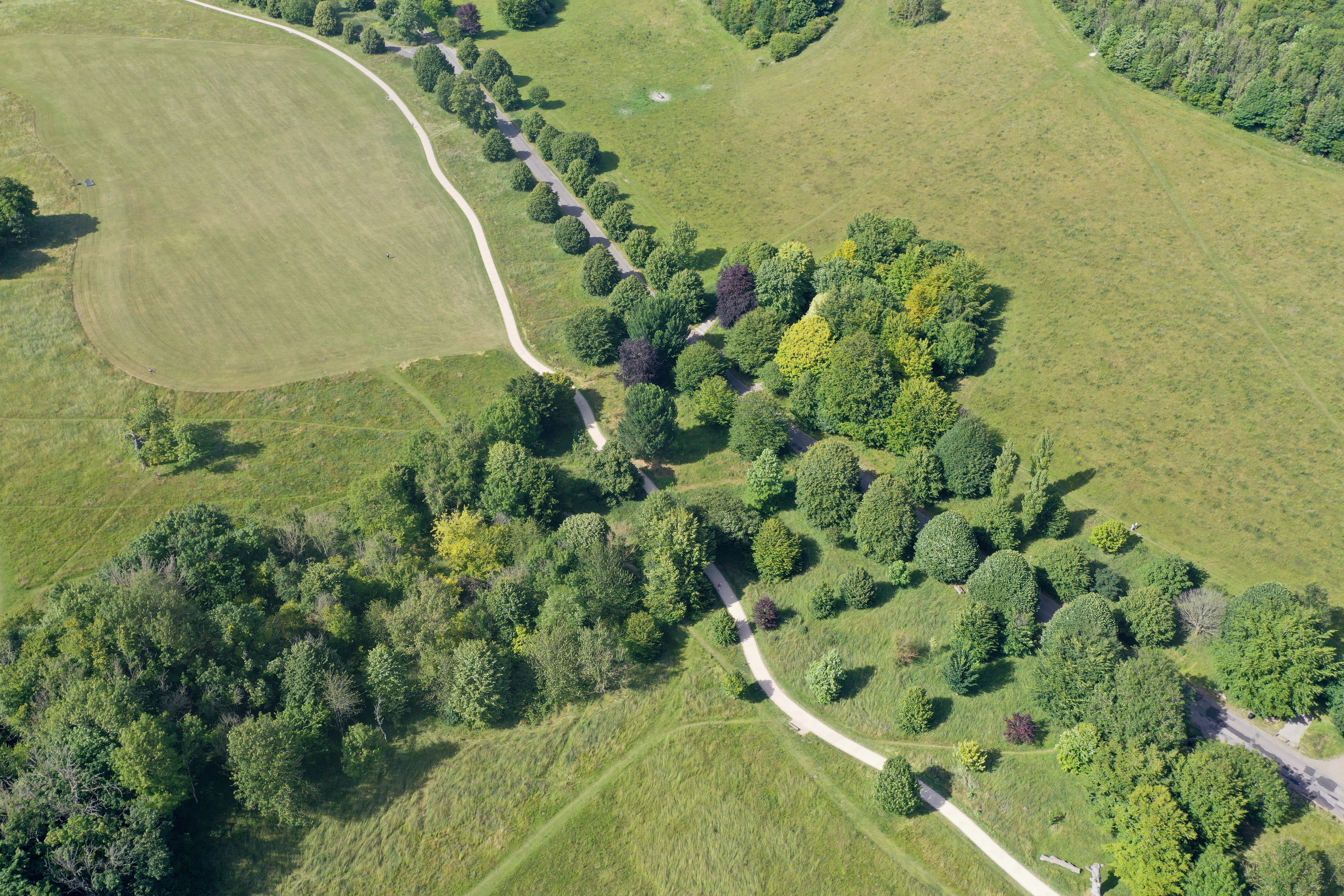 a aerial view of a park