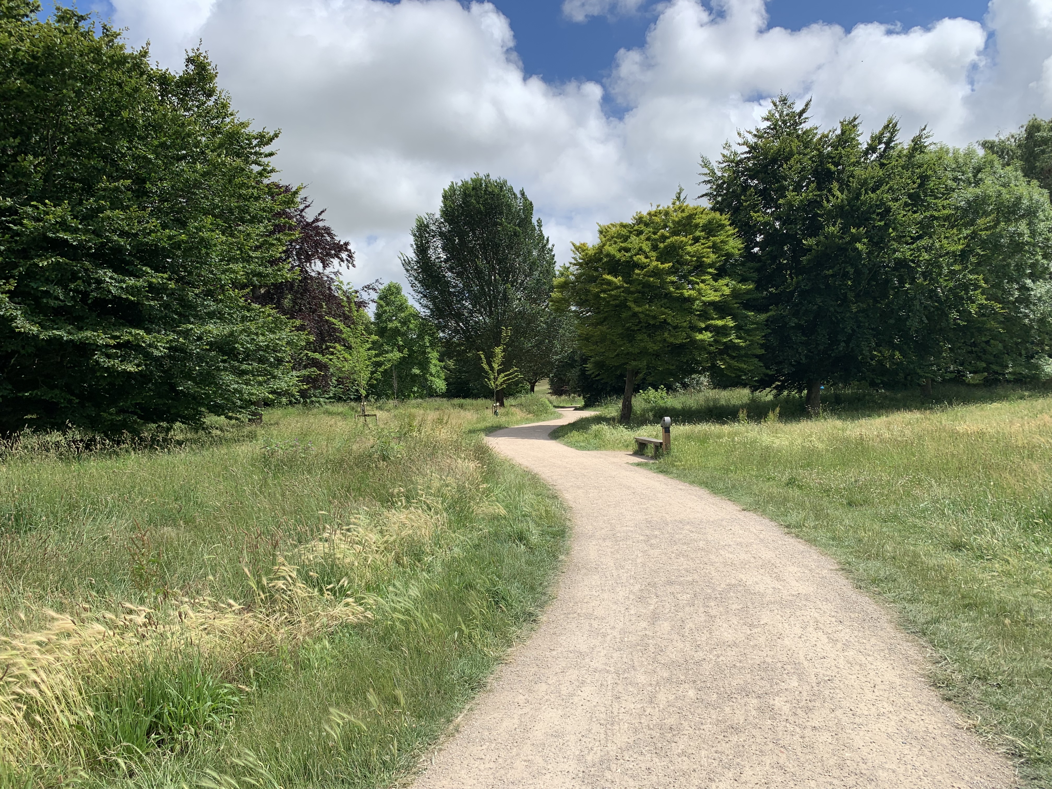 a path through a grassy field with trees and blue sky