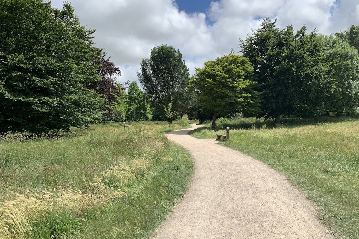 a path through a grassy field with trees and blue sky