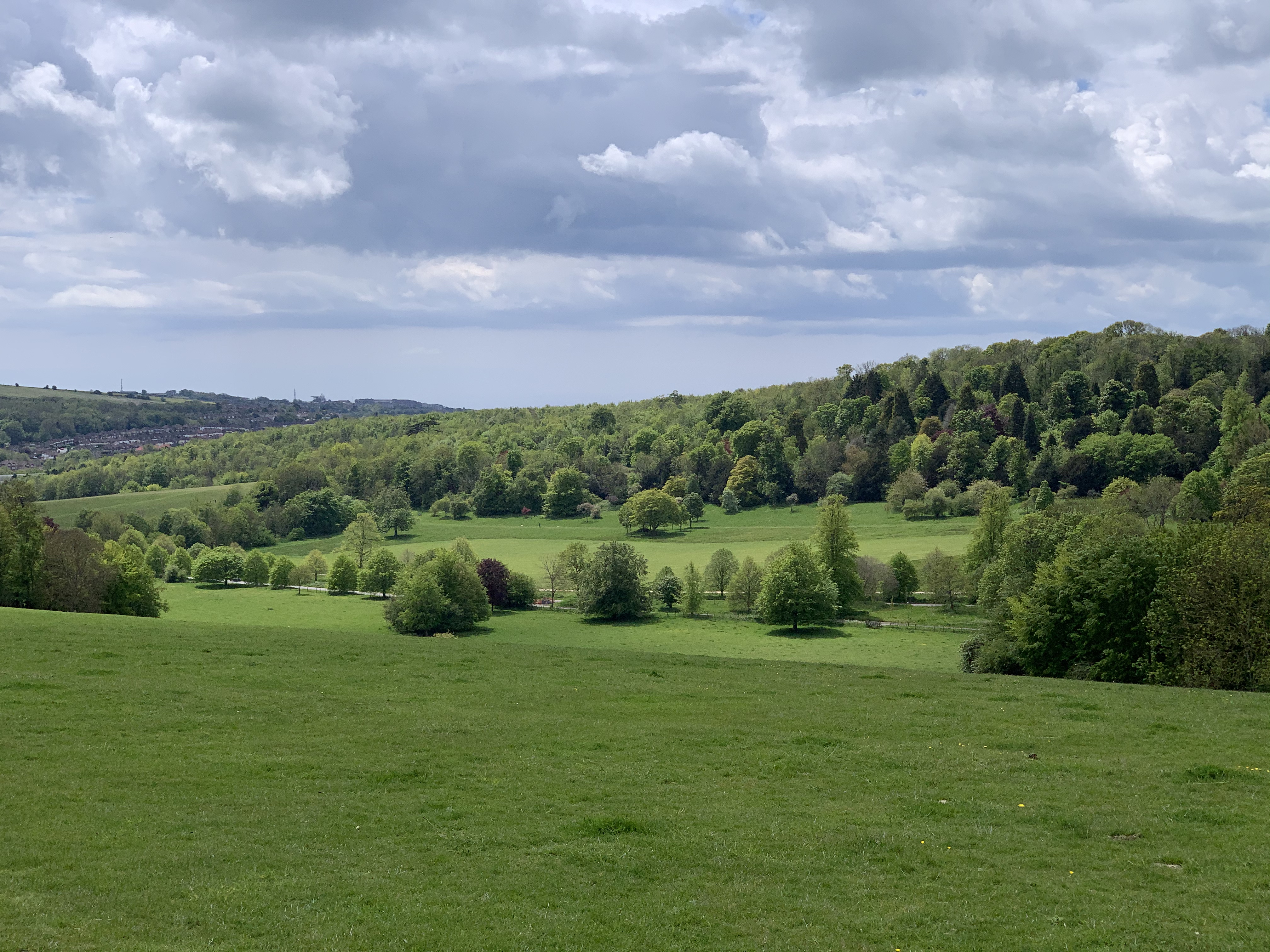 a large grassy field with trees and a hill in the background