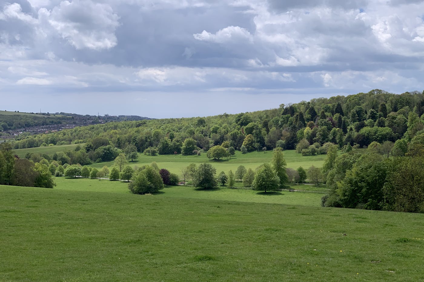 a large grassy field with trees and a hill in the background