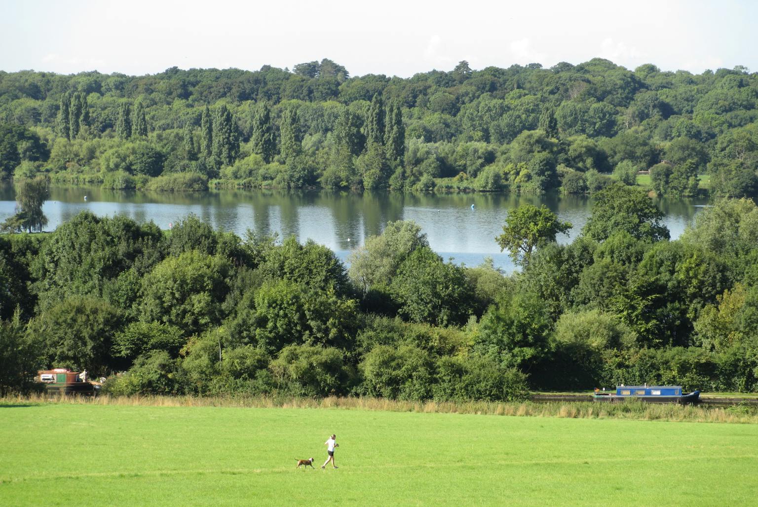 a person walking a dog in a field with trees and a lake
