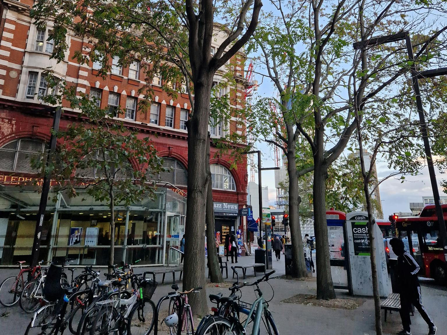 Trees positioned in front of building.