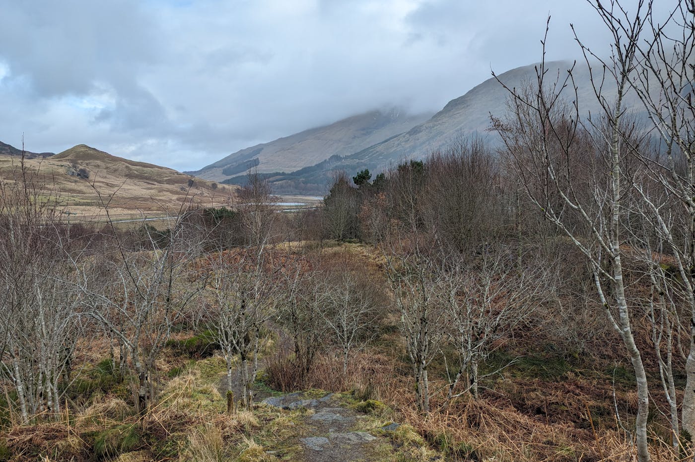 Landscape of the Wild Strathfillan area
