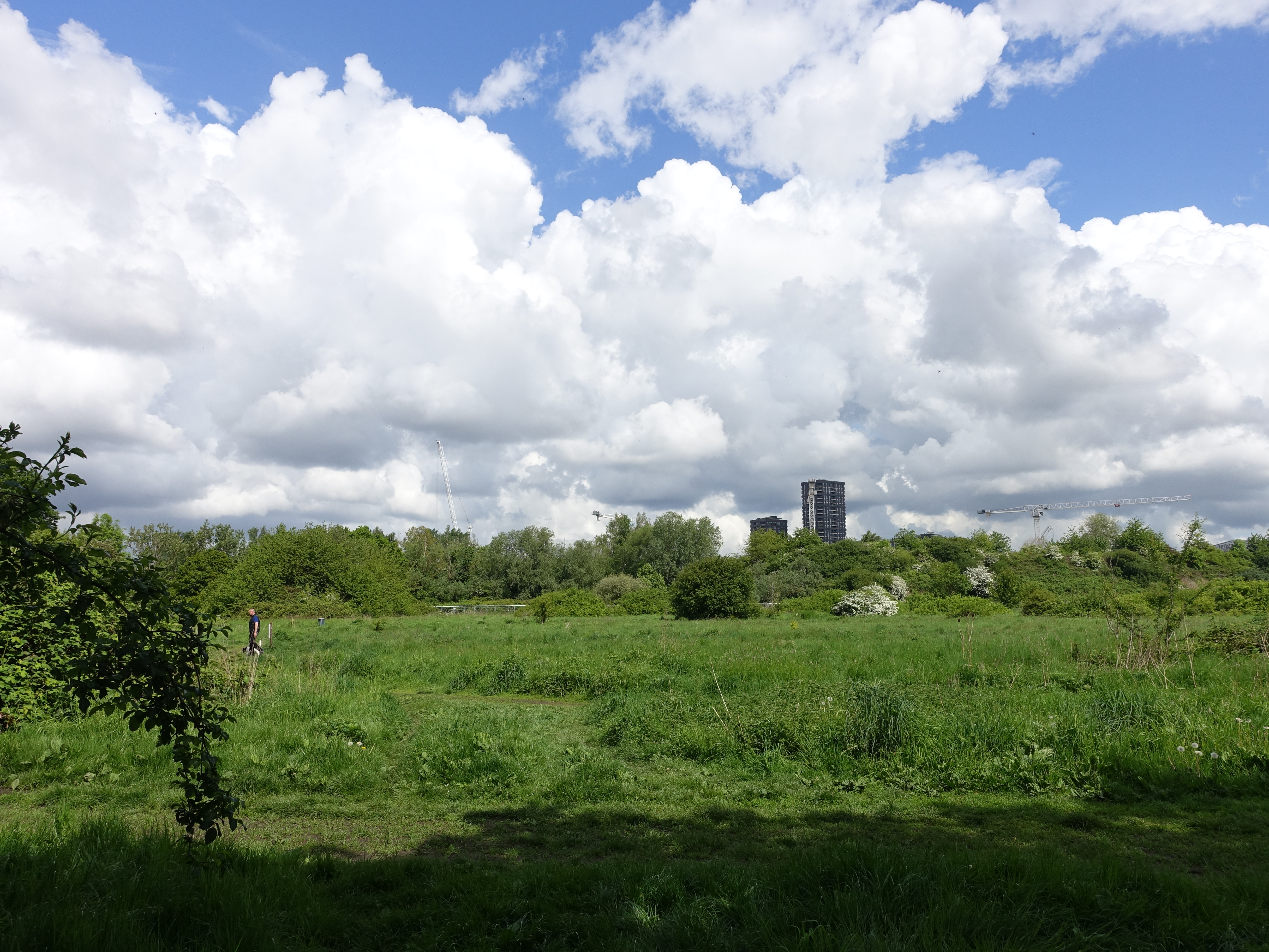 a field of grass and trees with a building in the background