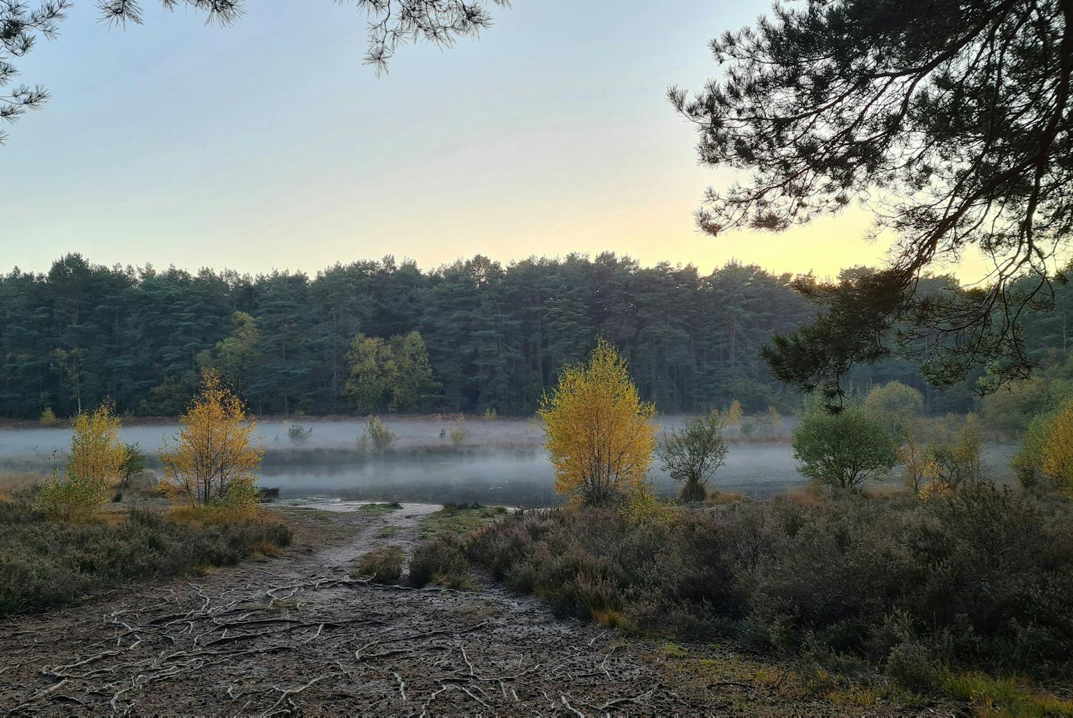 Water-based landscape
