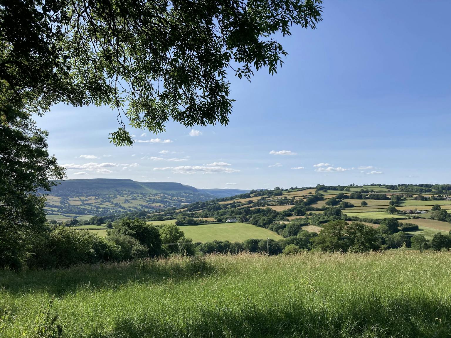 a landscape with trees and hills