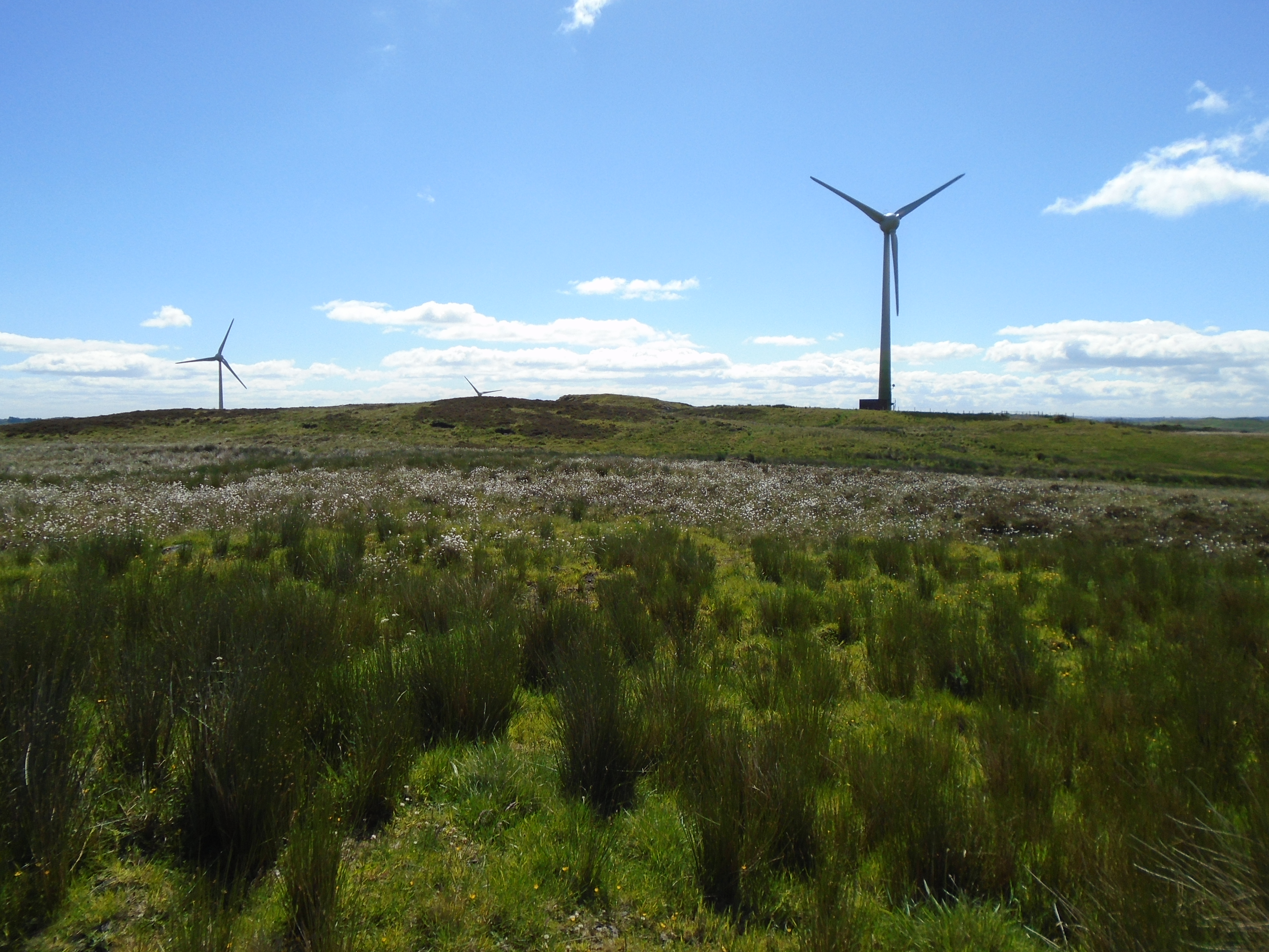Landscape image with wind turbines