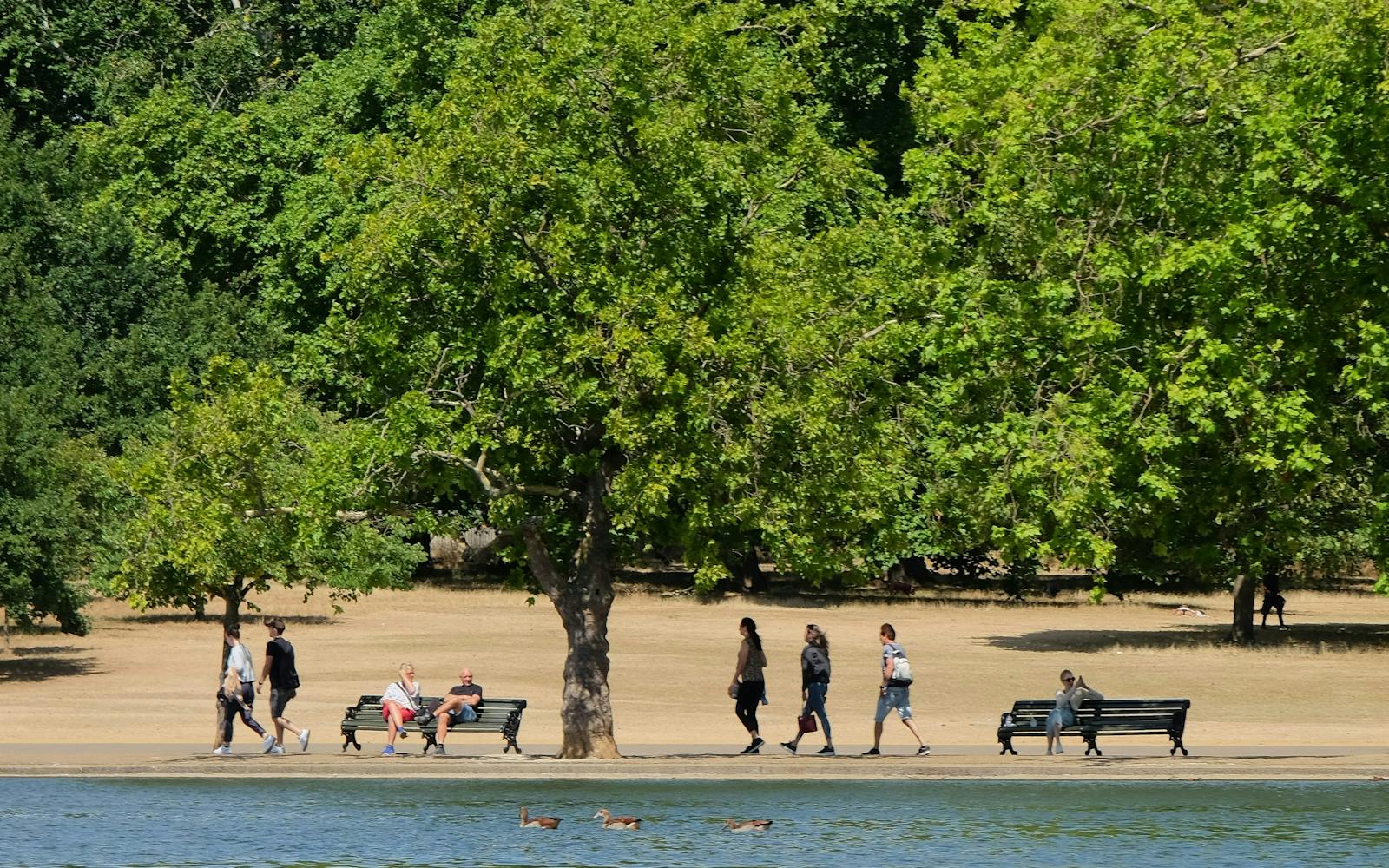 people walking on a beach by a body of water with trees