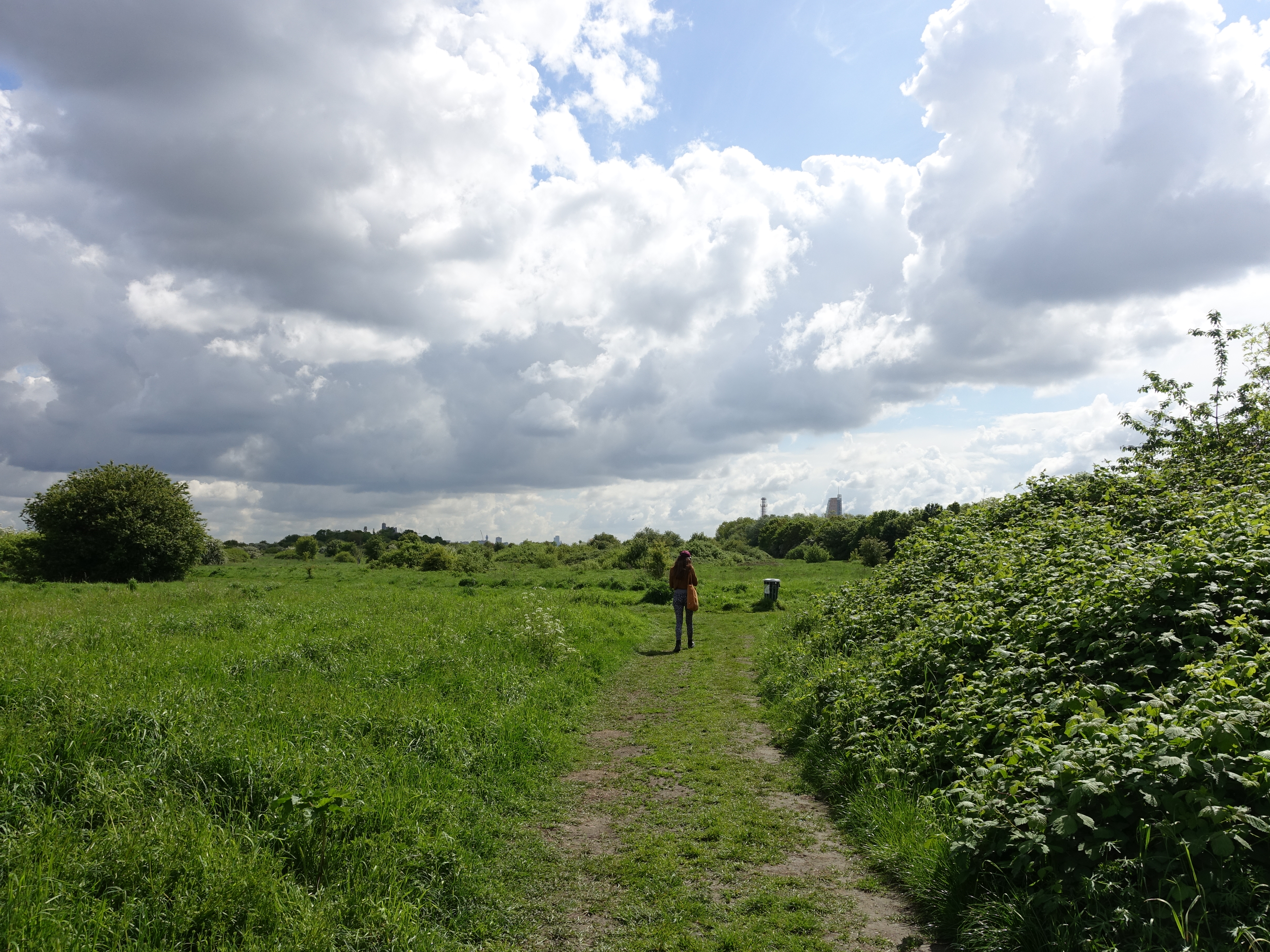 a person walking through a field of grass