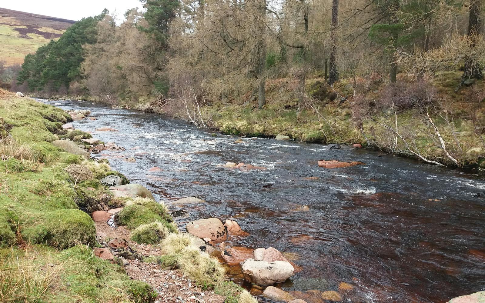 A burn surrounded by countryside