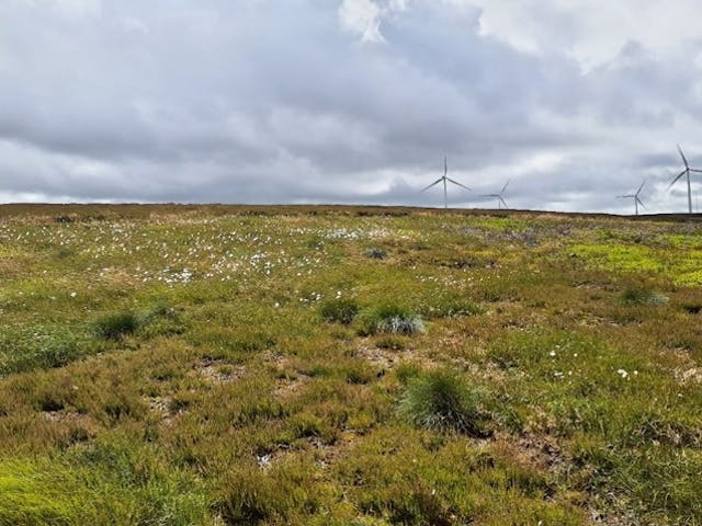 Countryside with turbines in the distance