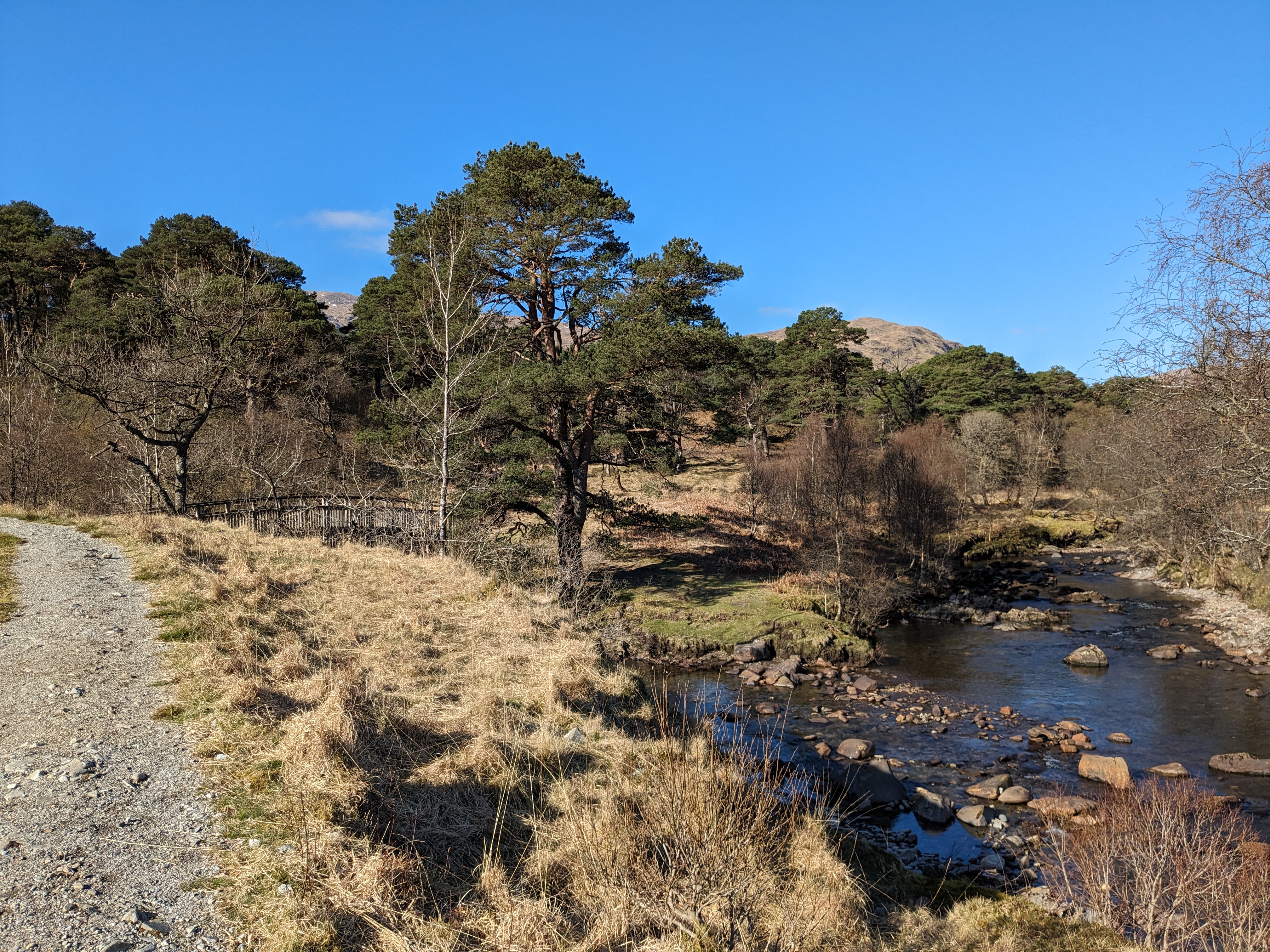 Landscape of the Wild Strathfillan area