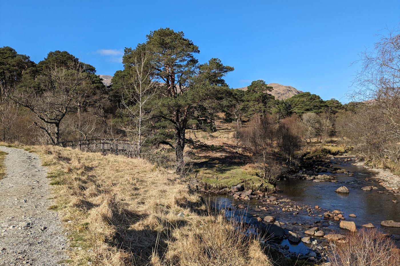 Landscape of the Wild Strathfillan area