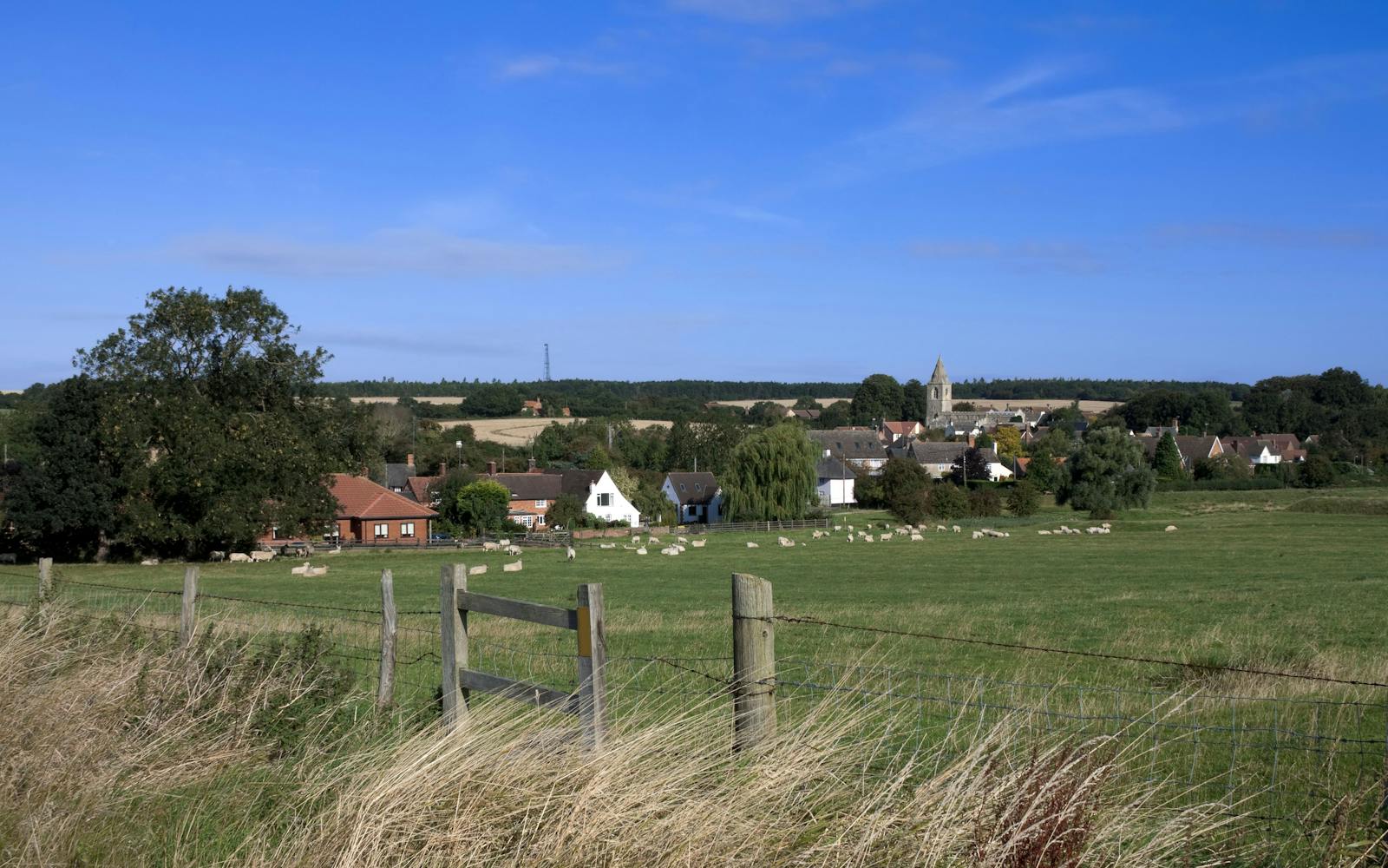 A flock of sheep of various colours grazes in a green field with a wooden fence in the foreground