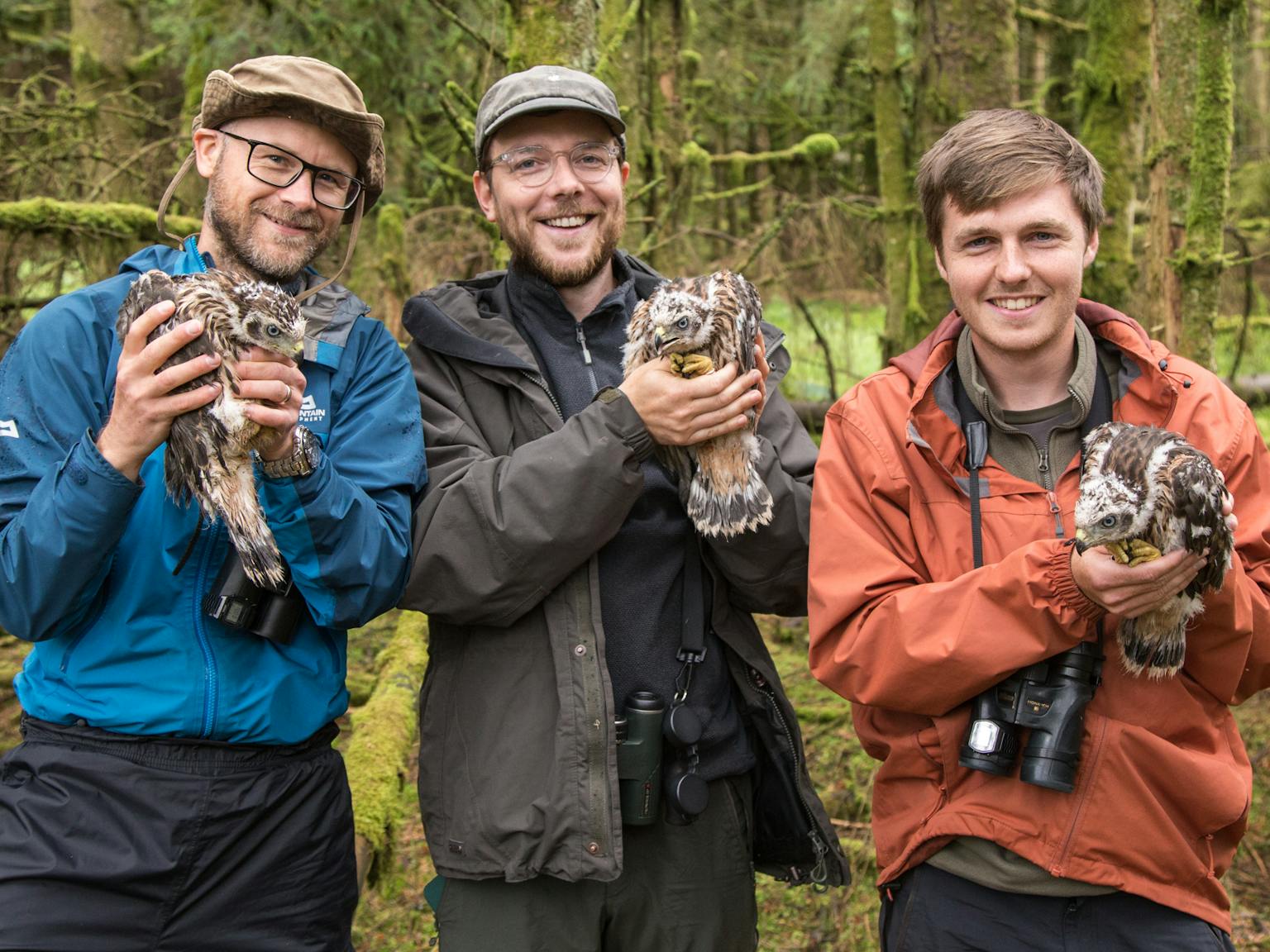 a group of men holding goshawks in the woods