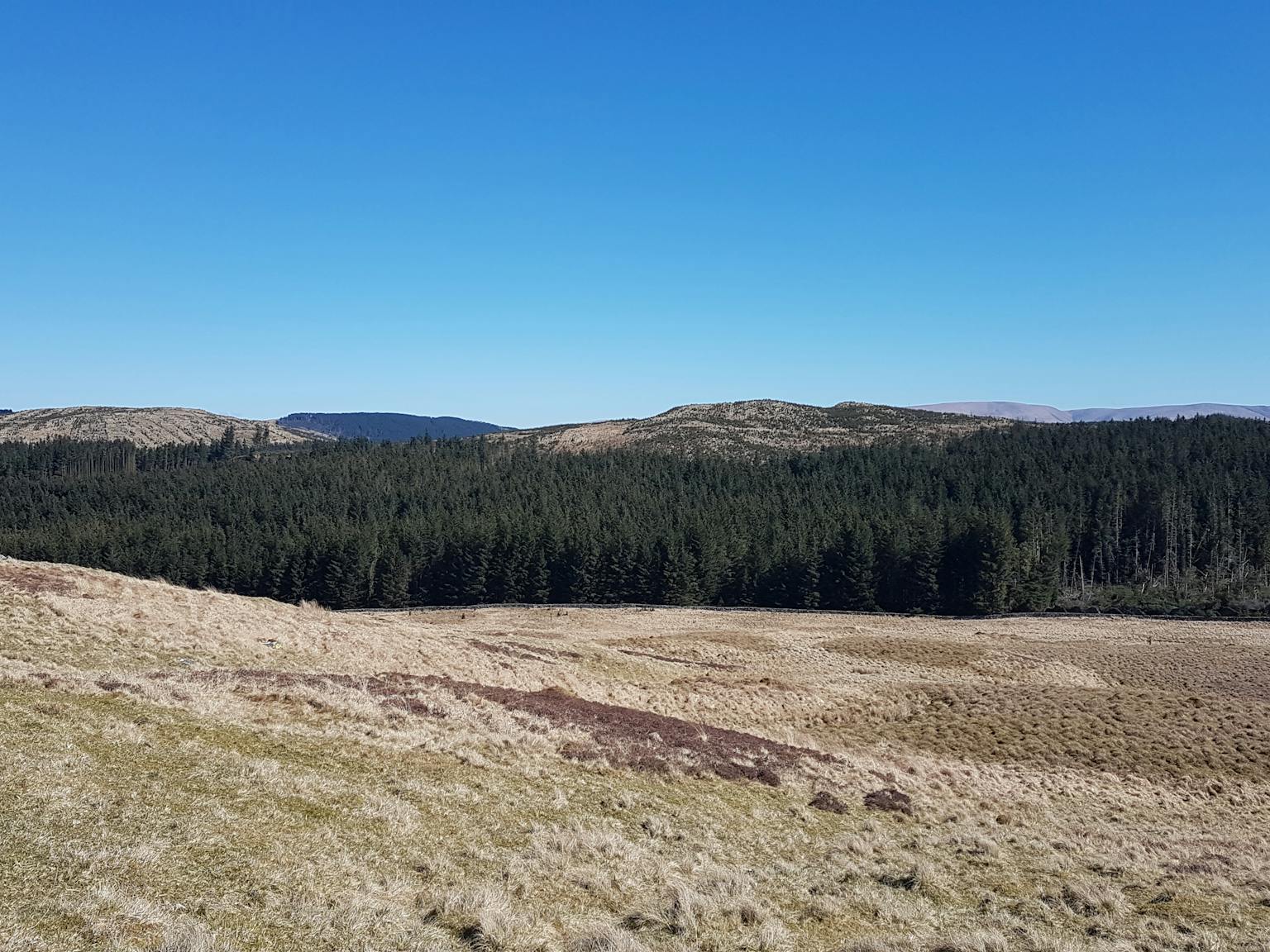 a landscape with a hill and trees
