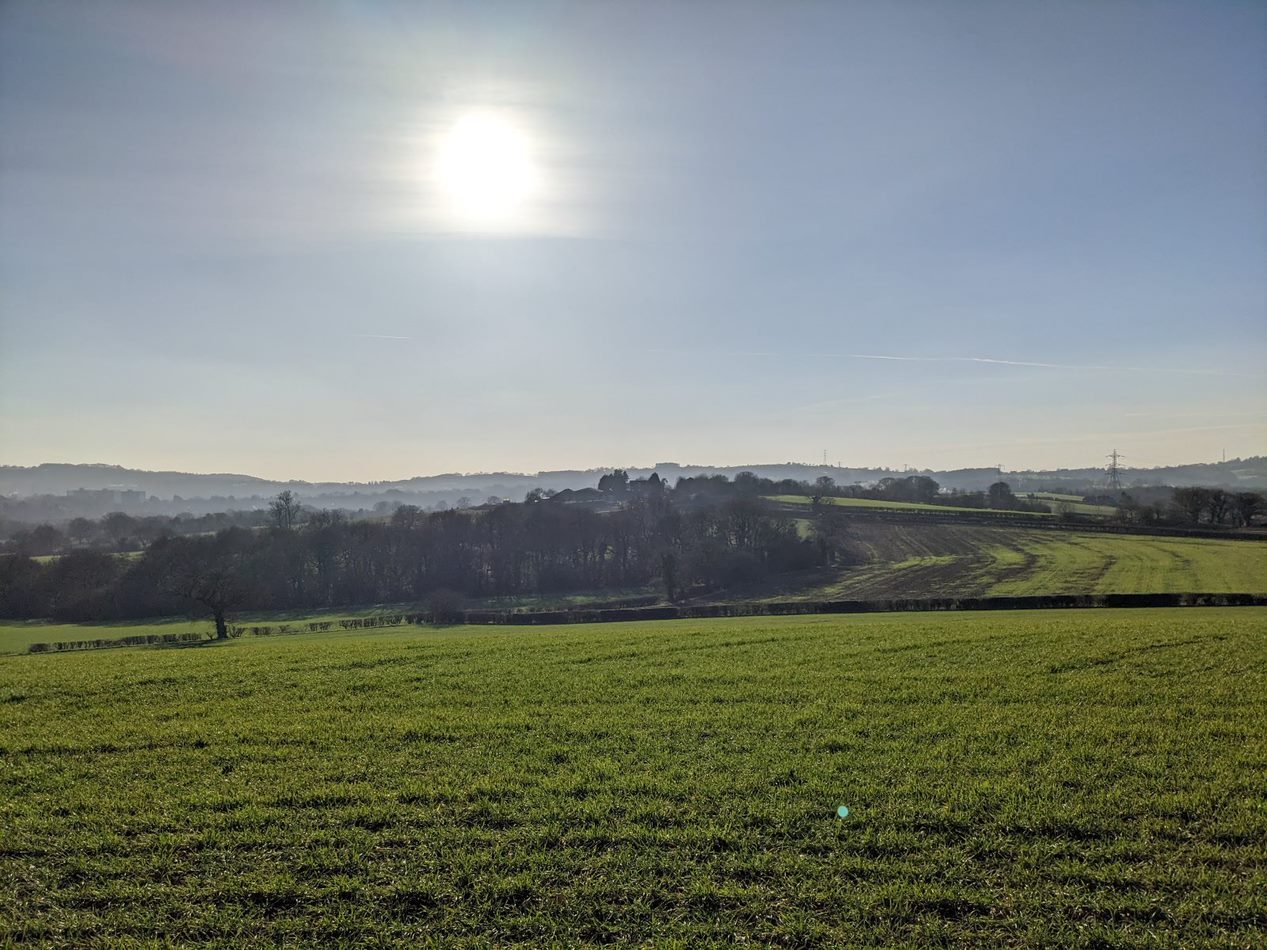 Lush green field bathed in bright sunlight